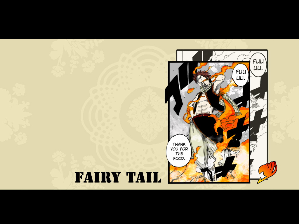 β(ħʿ)Fairy Tail Manga(ֽ10)