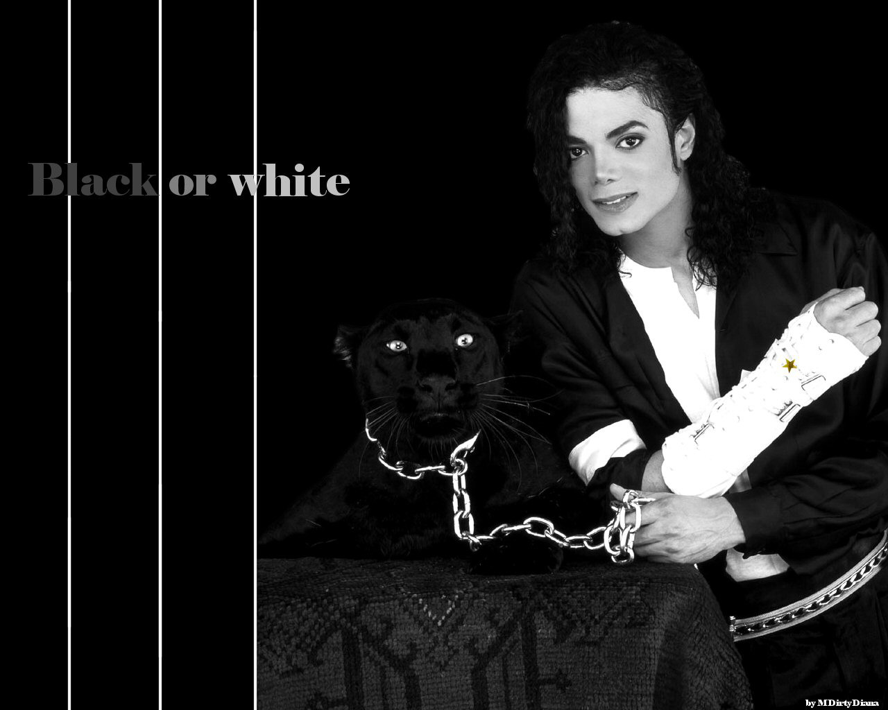 ˽ܿѷ߷ed Michael Jackson ֽ(ֽ13)