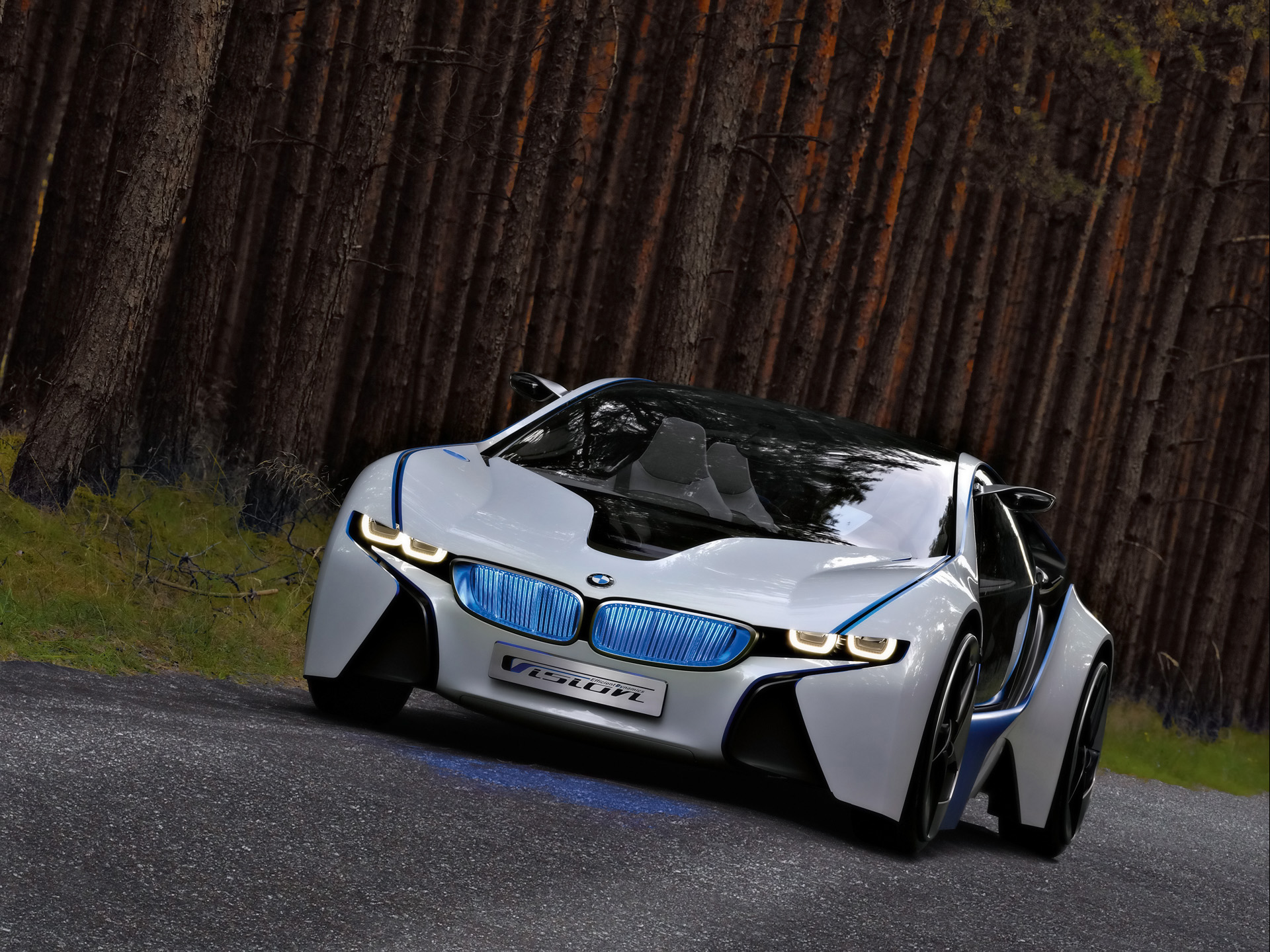 2009 BMW Vision EfficientDynamics(ֽ7)