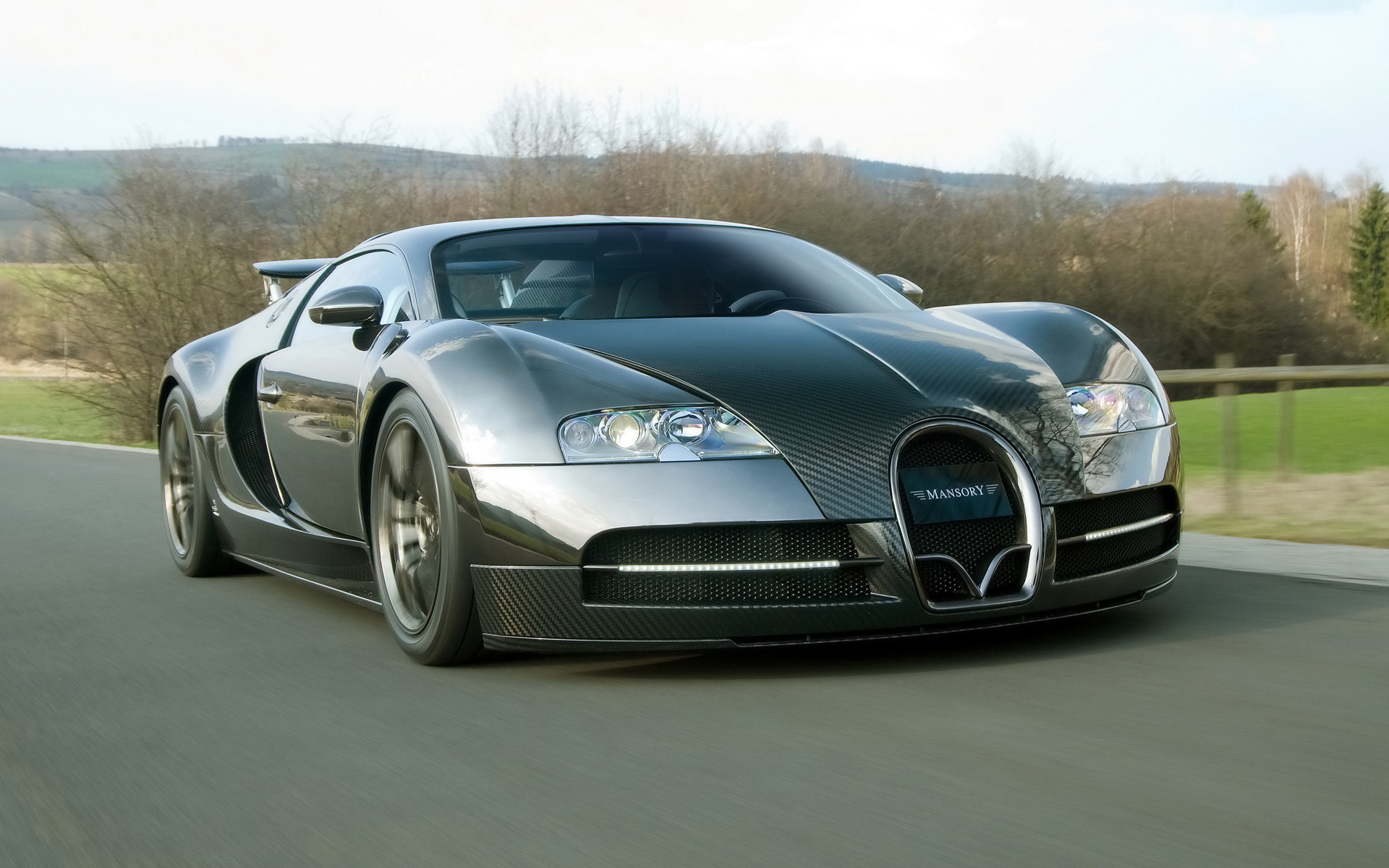ȫ̼˰沼ӵ2009 Mansory Bugatti Veyron Linea Vincero(ֽ9)
