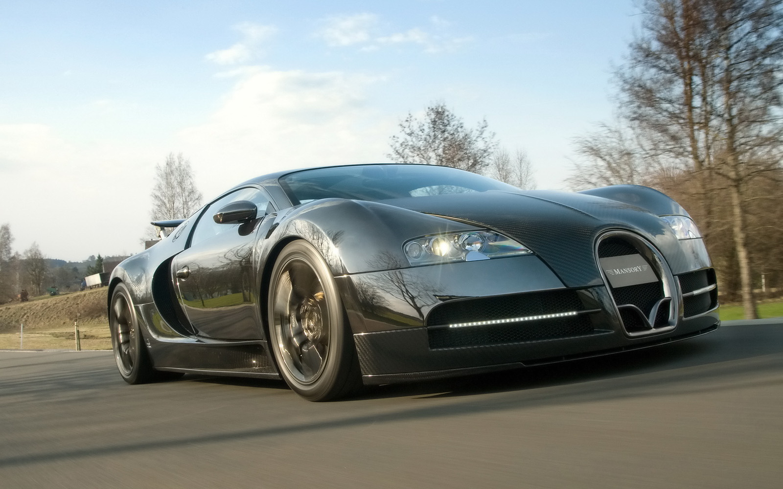 ȫ̼˰沼ӵ2009 Mansory Bugatti Veyron Linea Vincero(ֽ12)