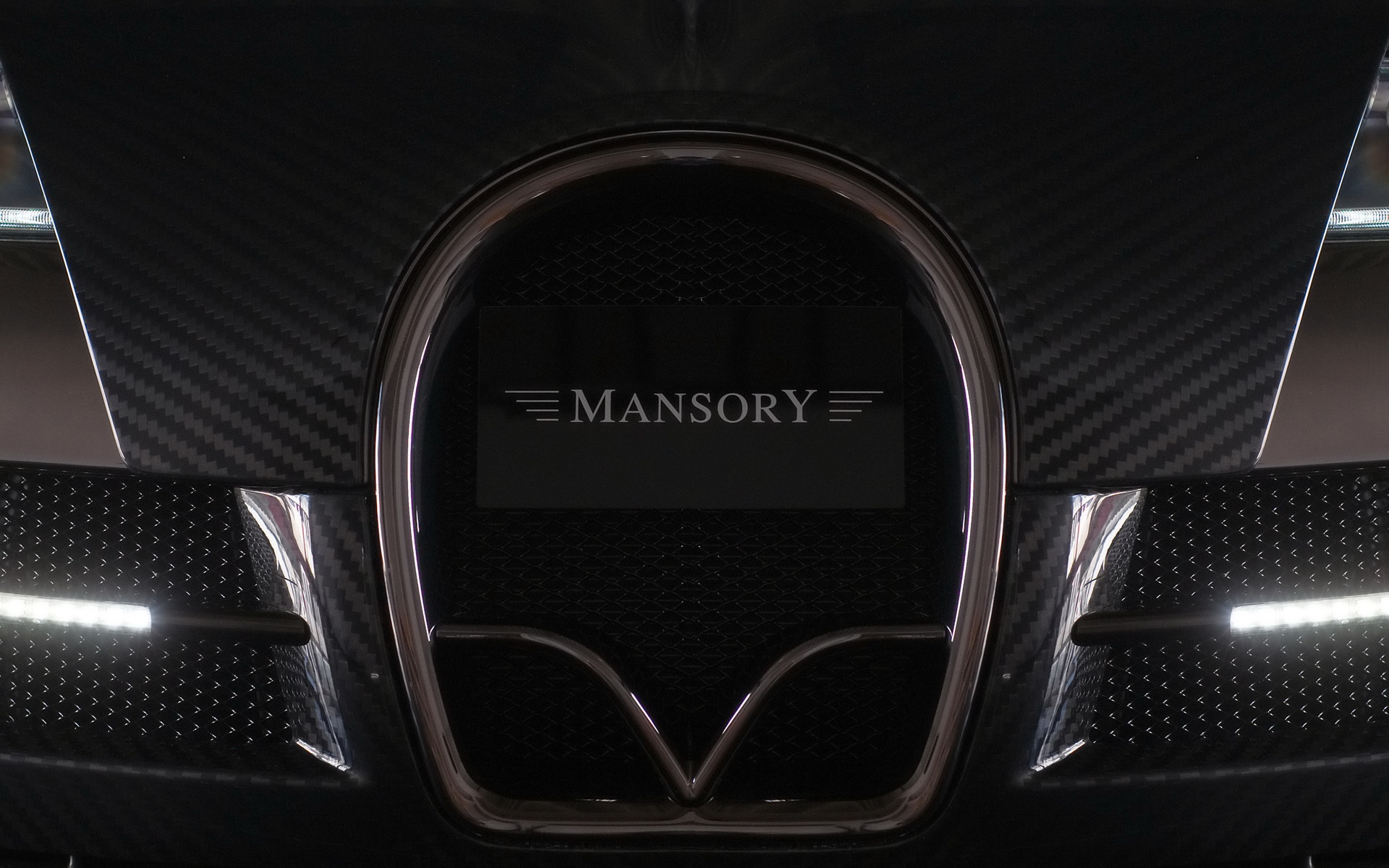 ȫ̼˰沼ӵ2009 Mansory Bugatti Veyron Linea Vincero(ֽ16)
