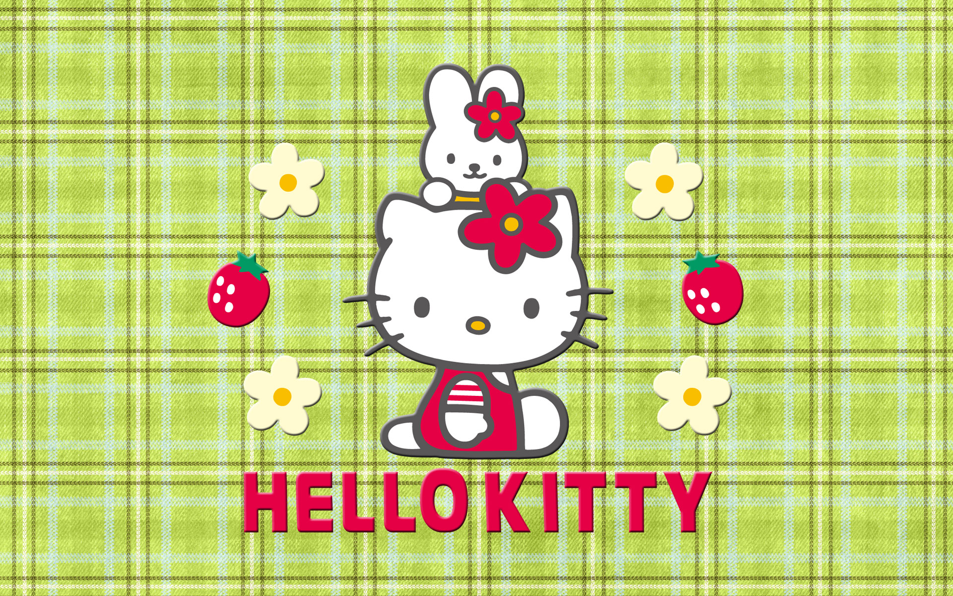 Hello Kitty ɰֽ(ֽ24)