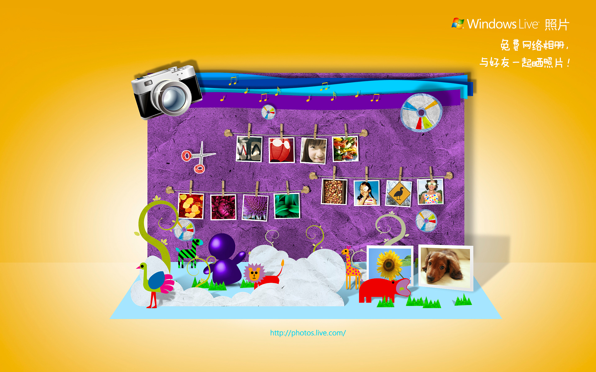 Windows Live 2010 ֽ(ֽ8)