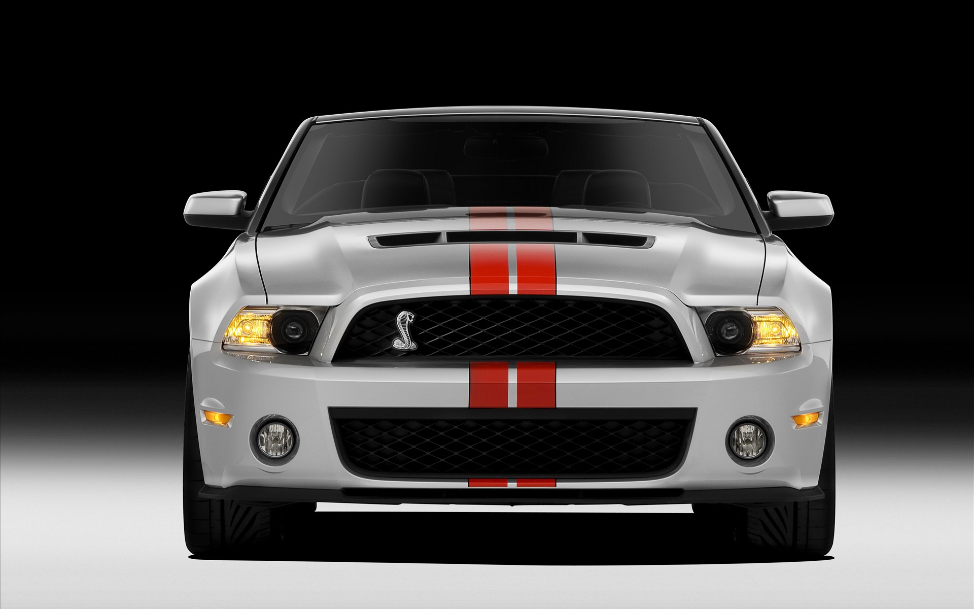FordҰ Shelby GT500 2011(ֽ3)