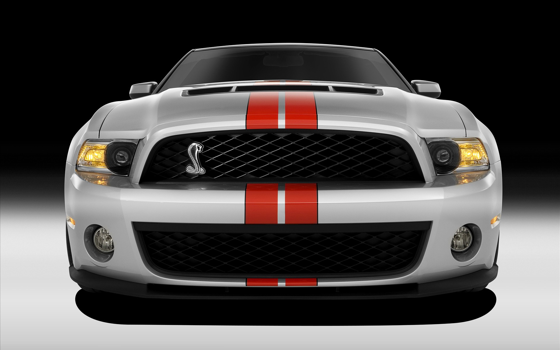 FordҰ Shelby GT500 2011(ֽ4)