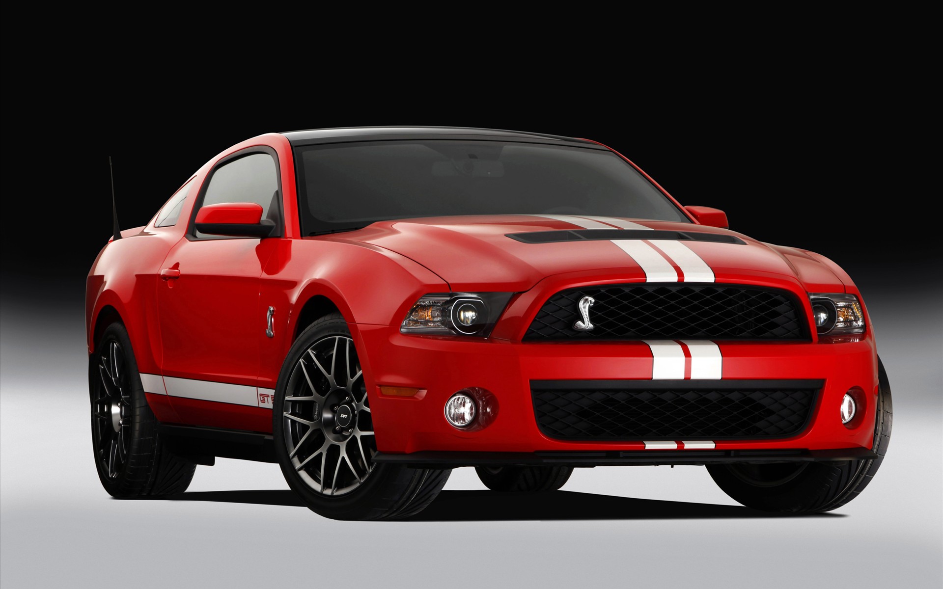 FordҰ Shelby GT500 2011(ֽ9)