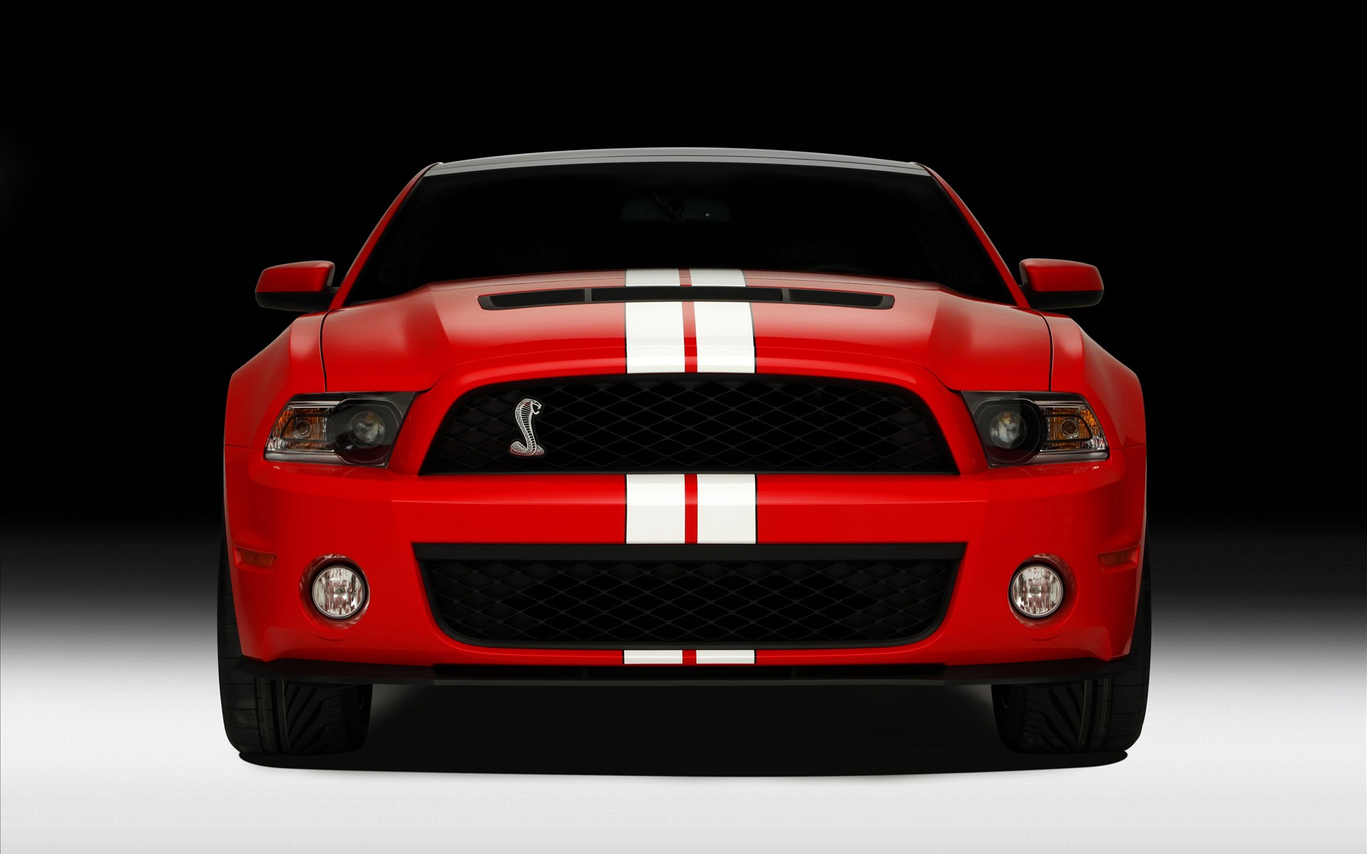 FordҰ Shelby GT500 2011(ֽ11)