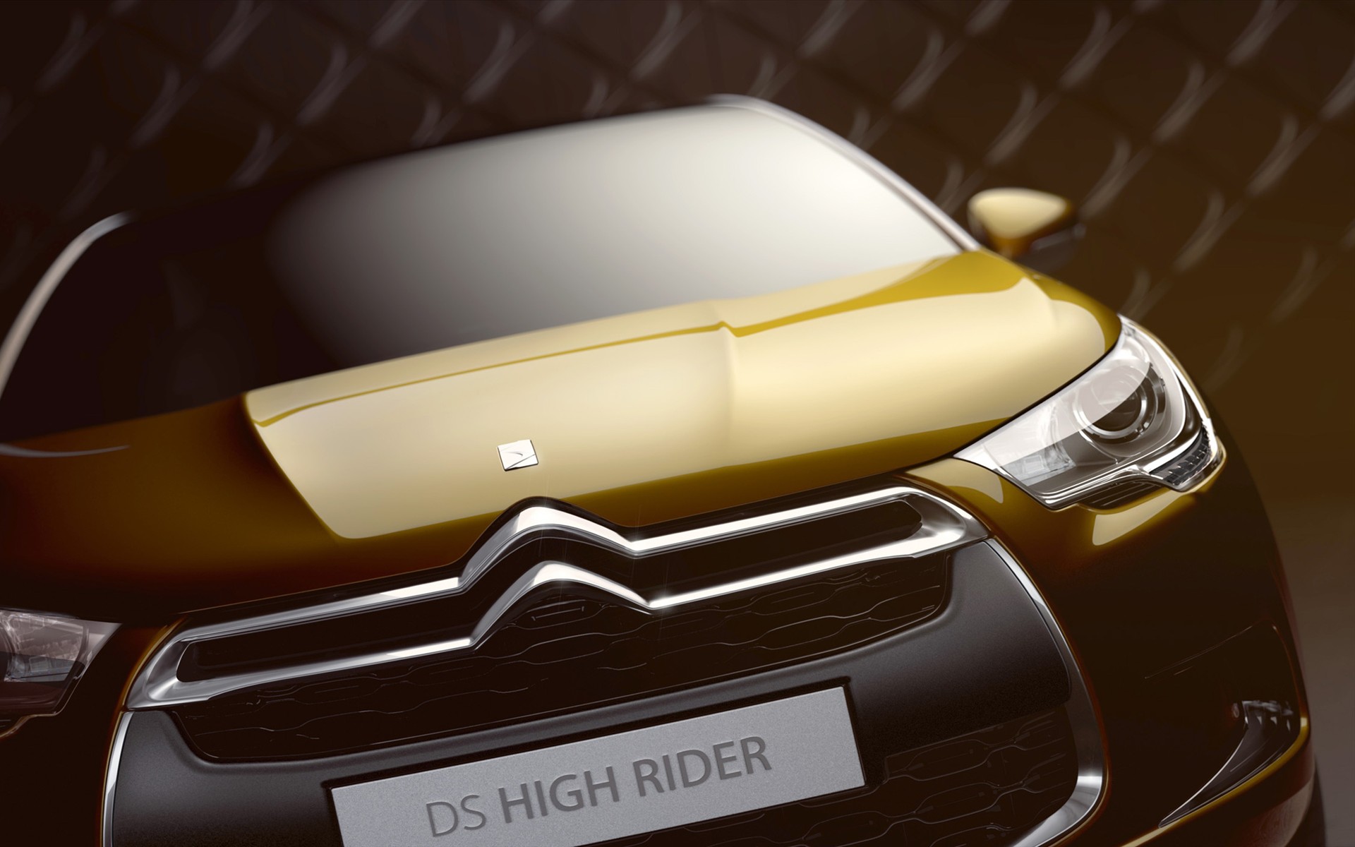 Citroenѩ DS High Rider Concept 2010(ֽ1)