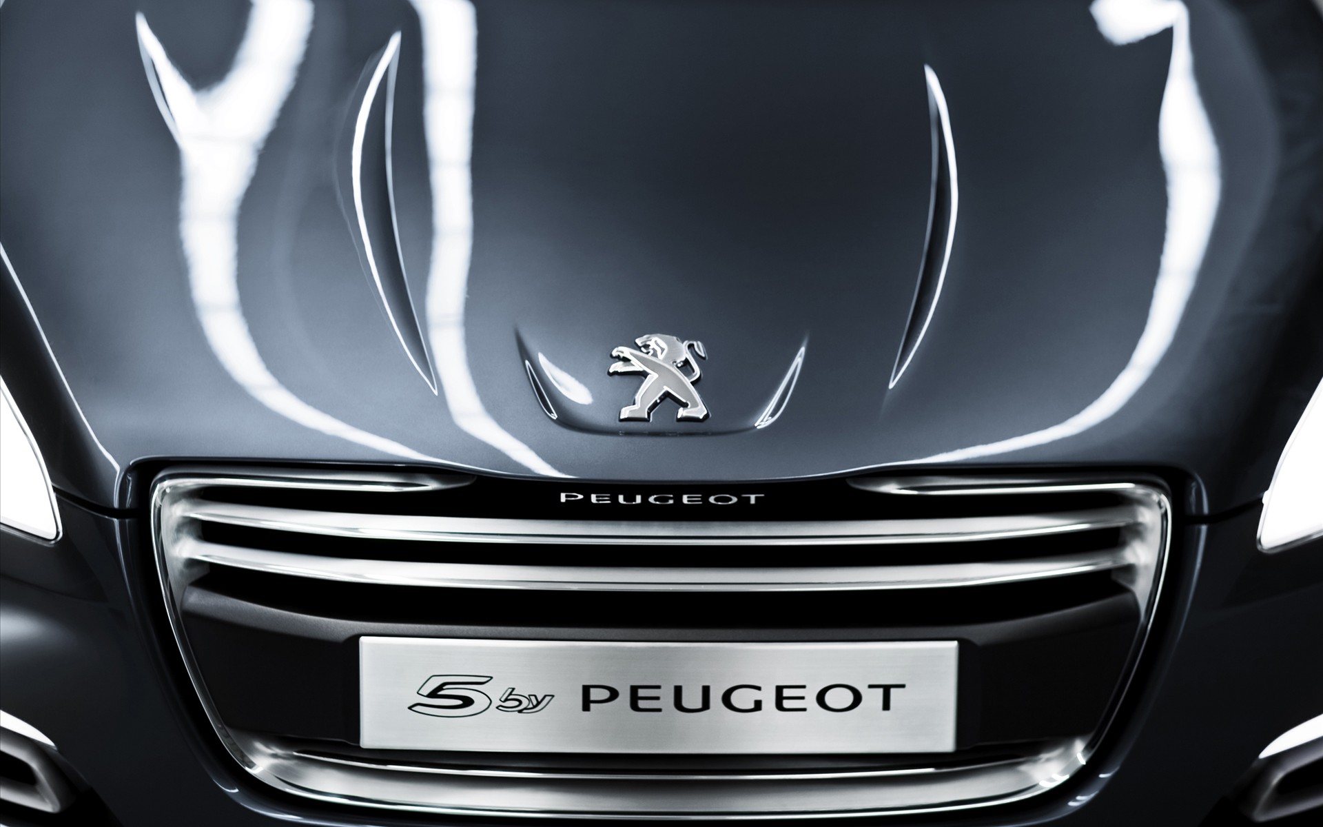 The 5 Peugeot־ Concept Car 2011(ֽ8)