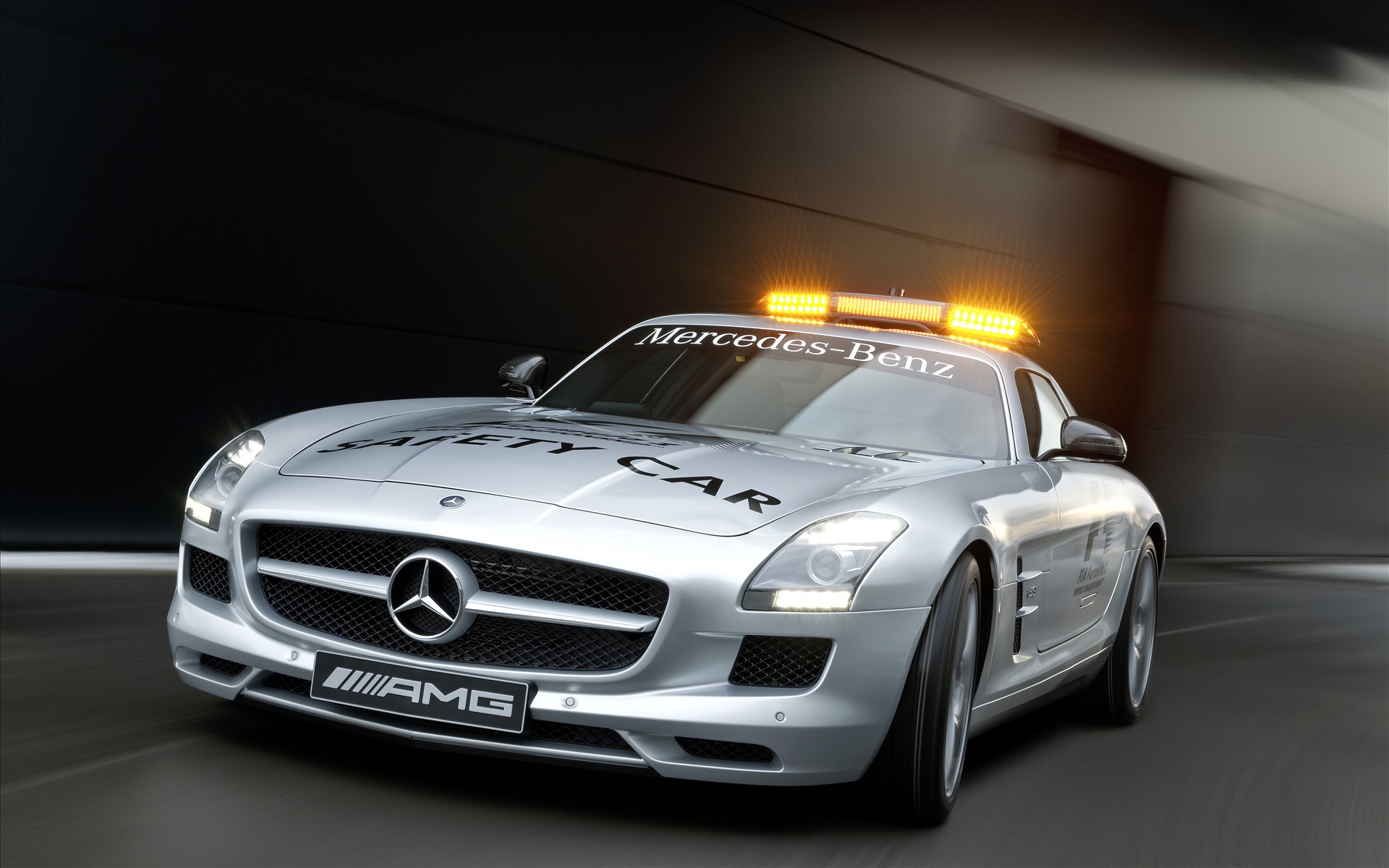 Mercedes Benz SLS AMG F1 Safety Car 2010(ֽ14)