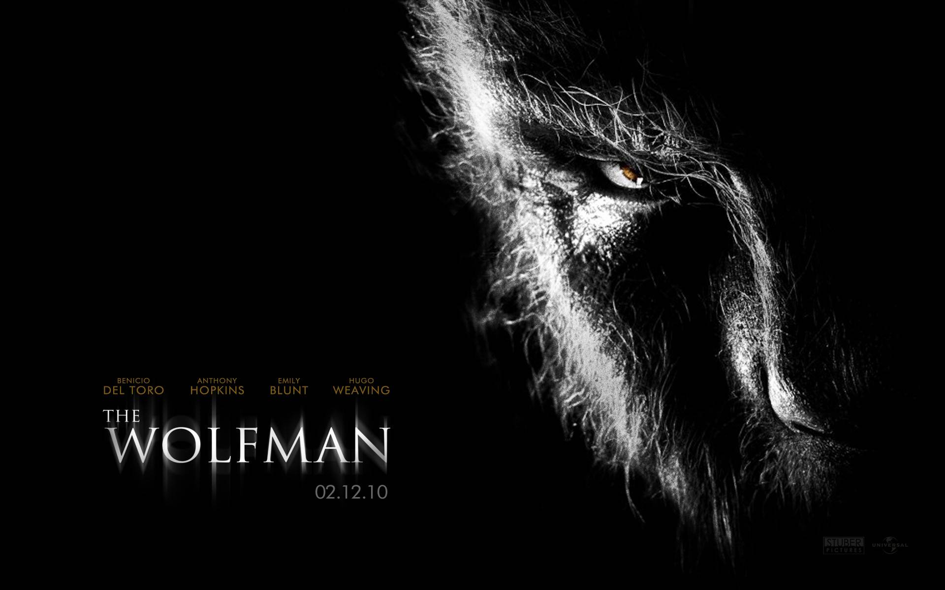 ˡ The Wolf Man(ֽ13)