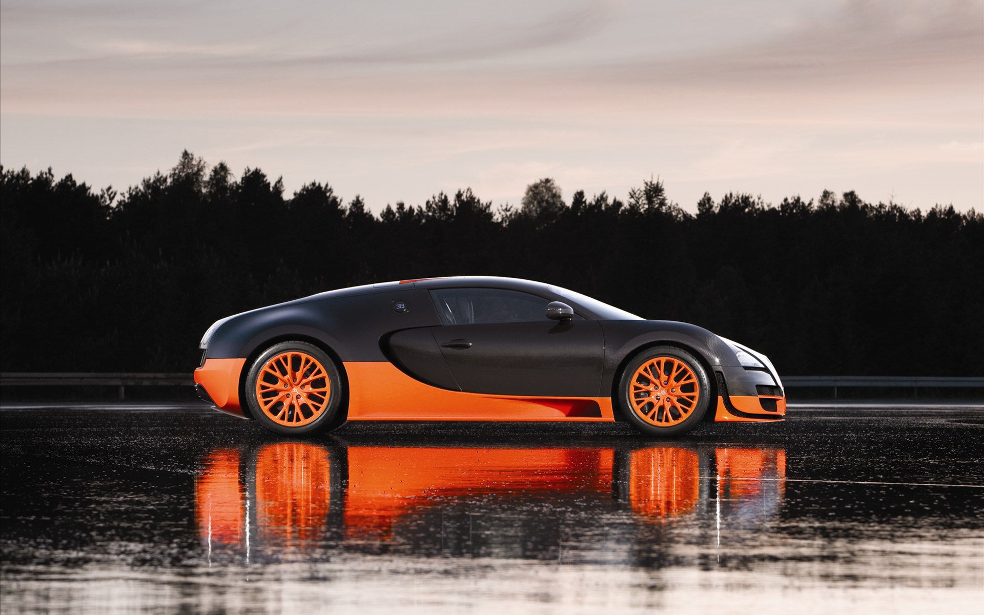 Bugatti Veyron(ӵ) 16.4 Super Sports Car 2011(ֽ13)