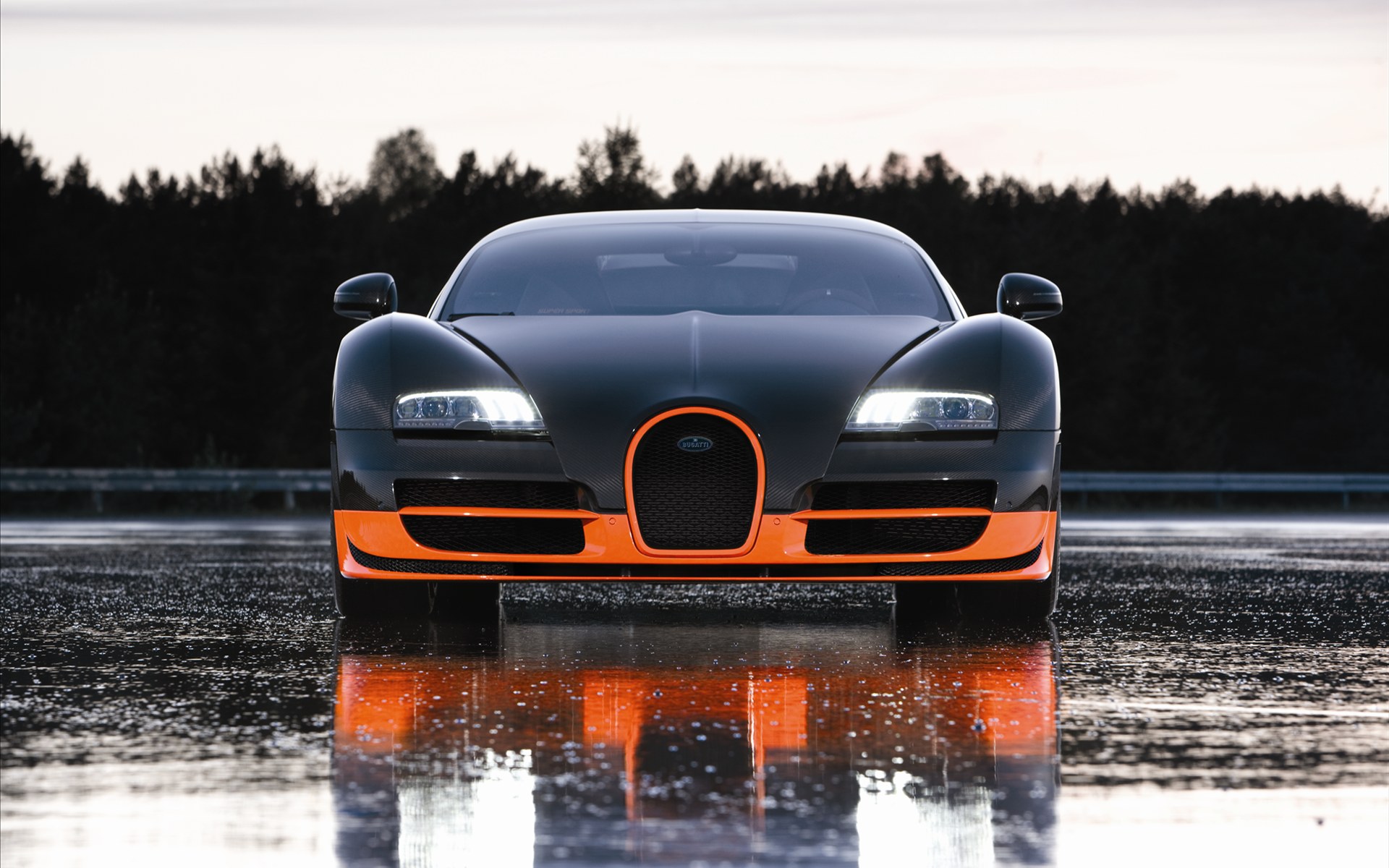 Bugatti Veyron(ӵ) 16.4 Super Sports Car 2011(ֽ15)