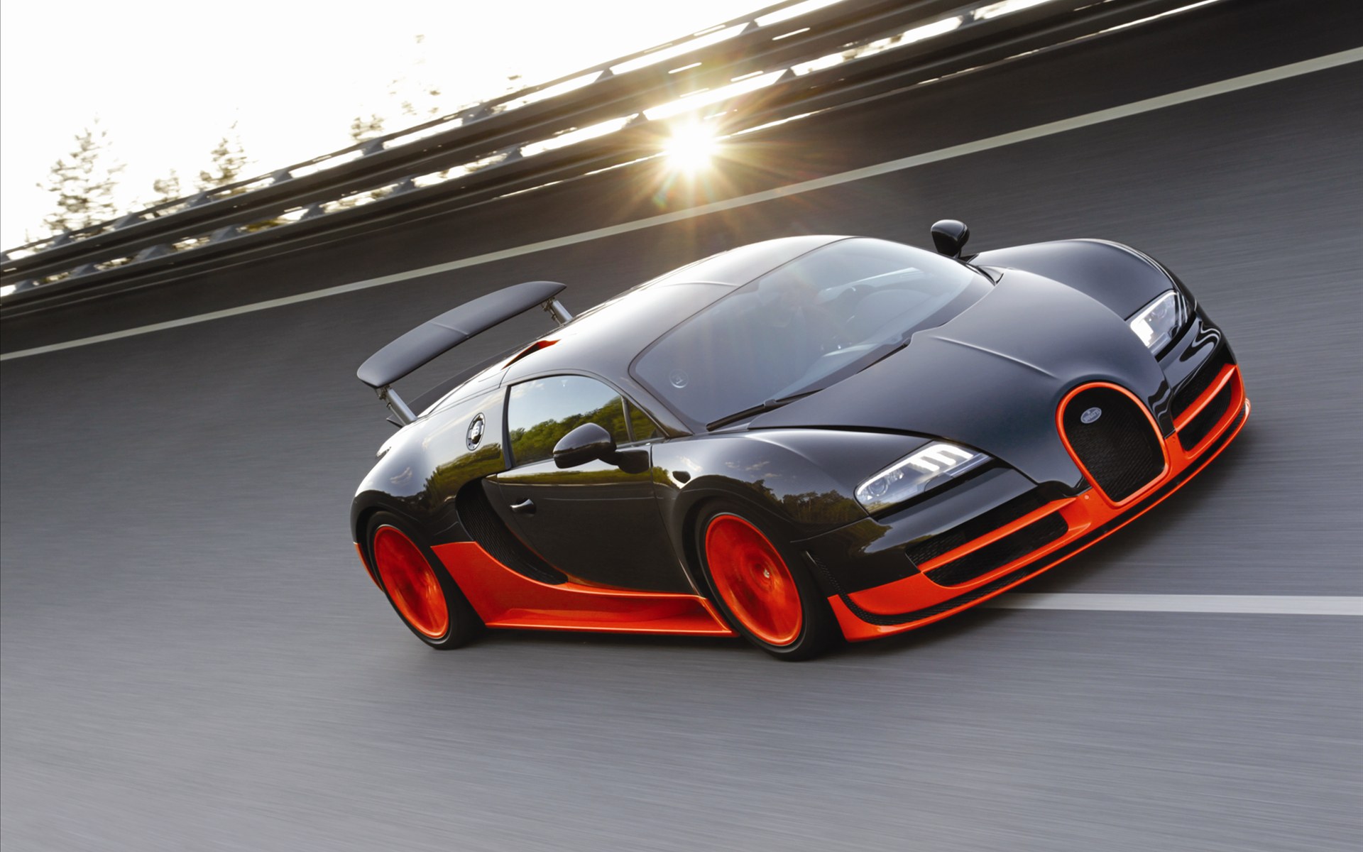 Bugatti Veyron(ӵ) 16.4 Super Sports Car 2011(ֽ19)