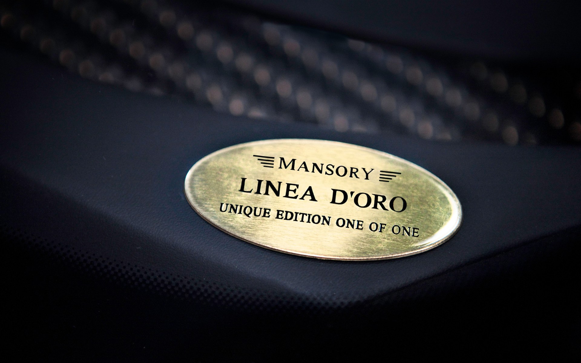 Mansory Bugatti Veyron(ӵ) Linea Vincero dOro(ֽ11)