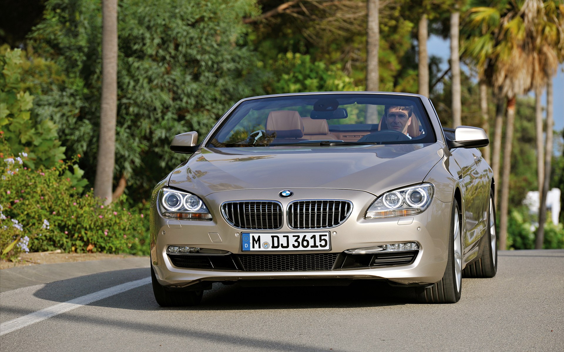 BMW 650iܣ Convertible 2012(ֽ9)