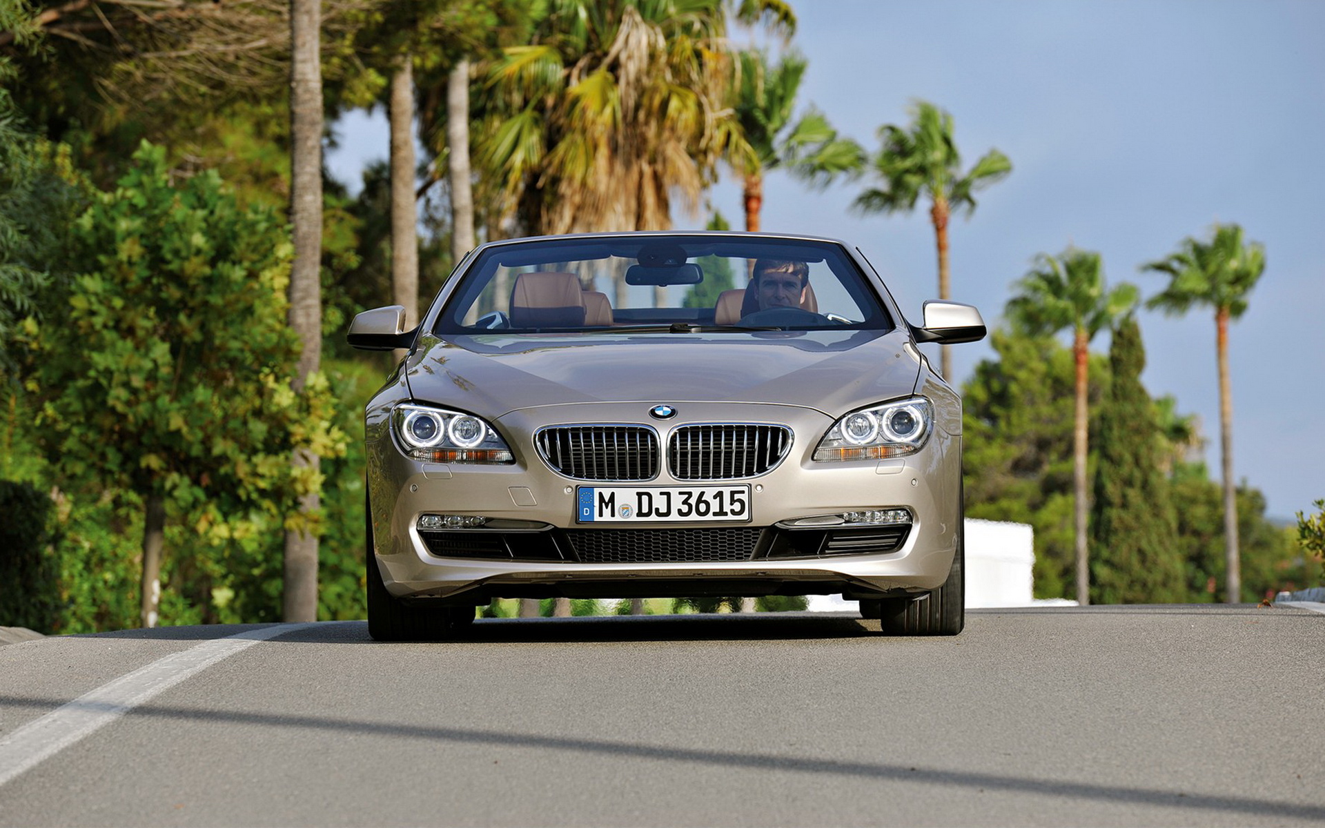 BMW 650iܣ Convertible 2012(ֽ11)