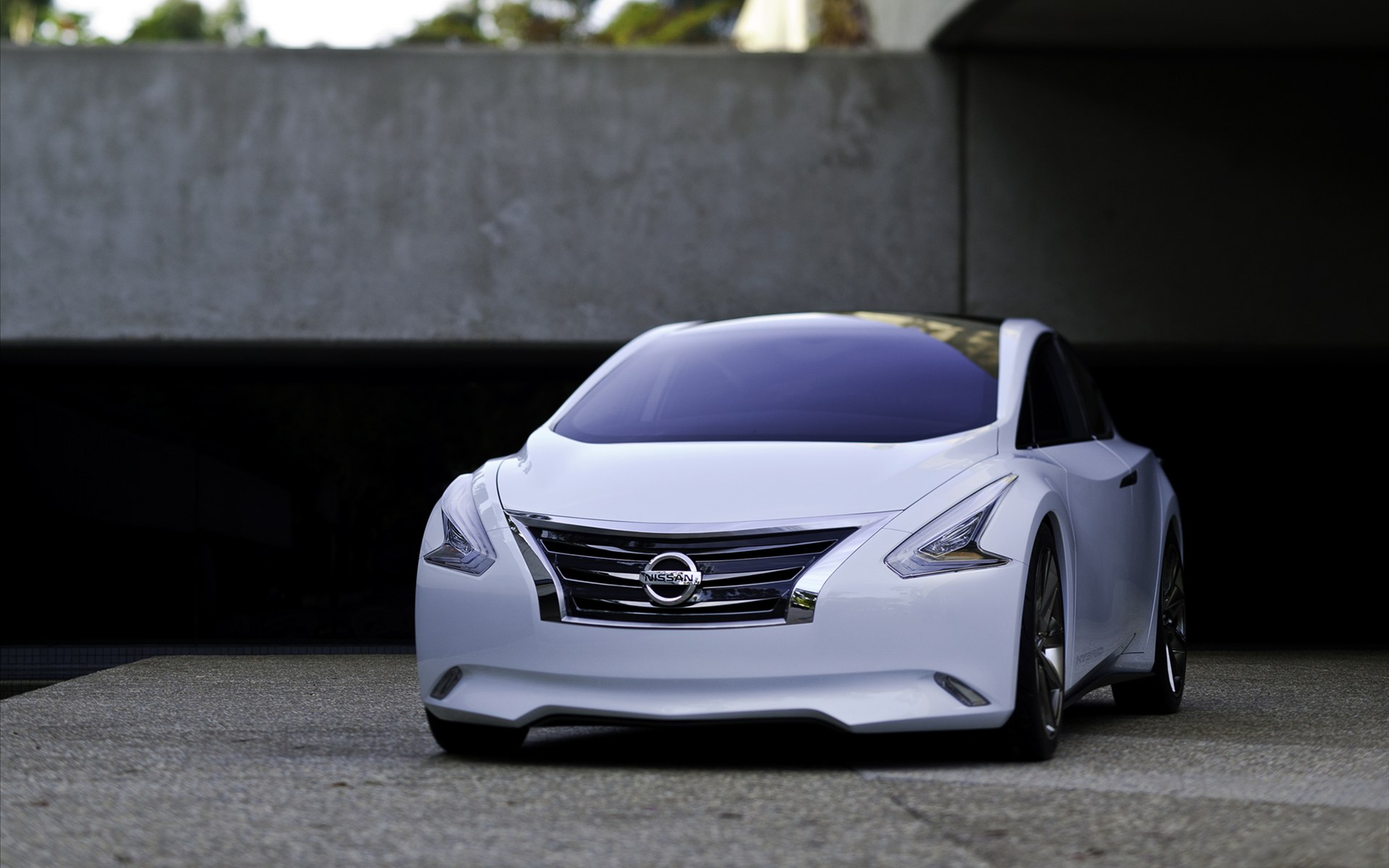 Nissan(ղɣ) Ellure Concept 2010(ֽ3)