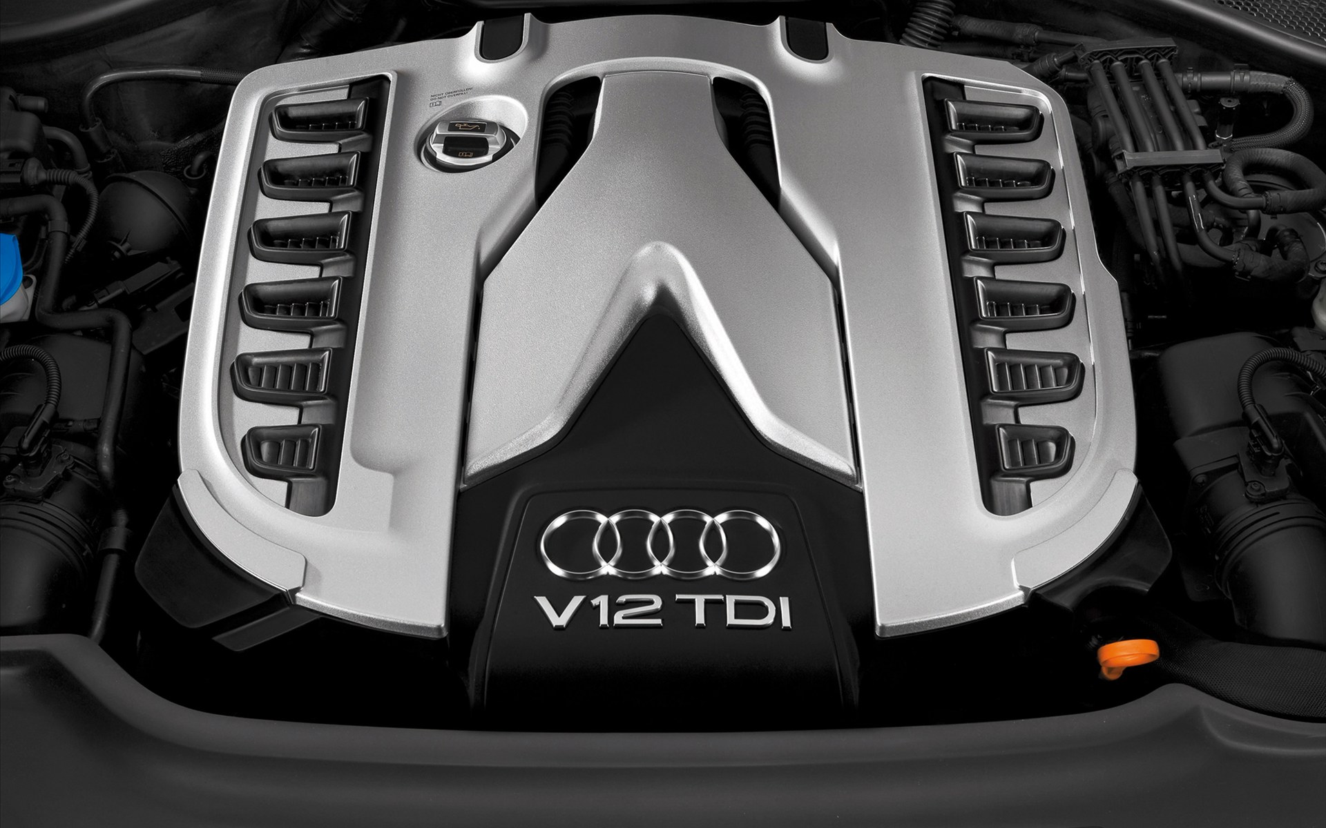 Audi(µ) Q7 V12 2010(ֽ7)