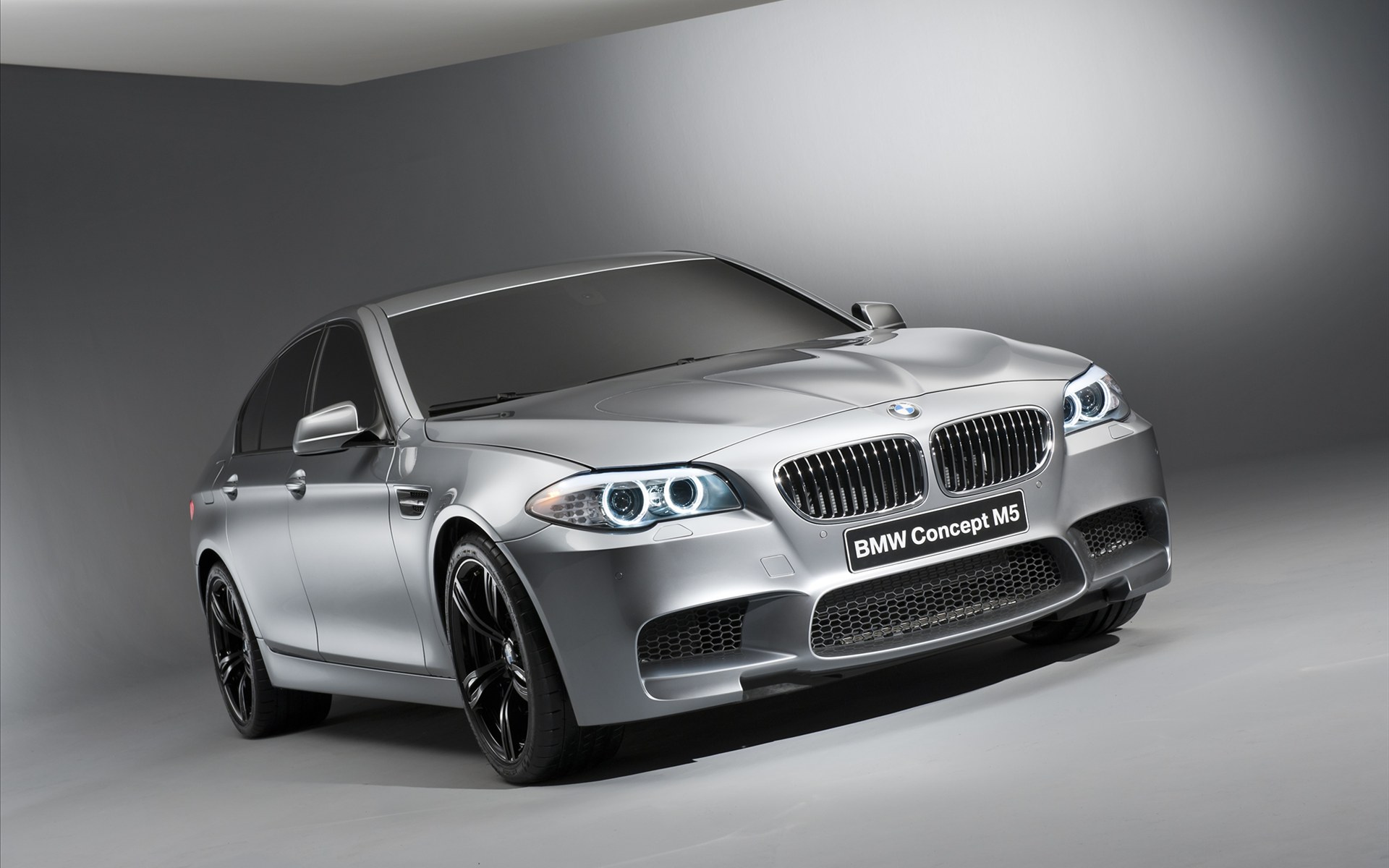 BMW M5 (M5)2011(ֽ2)