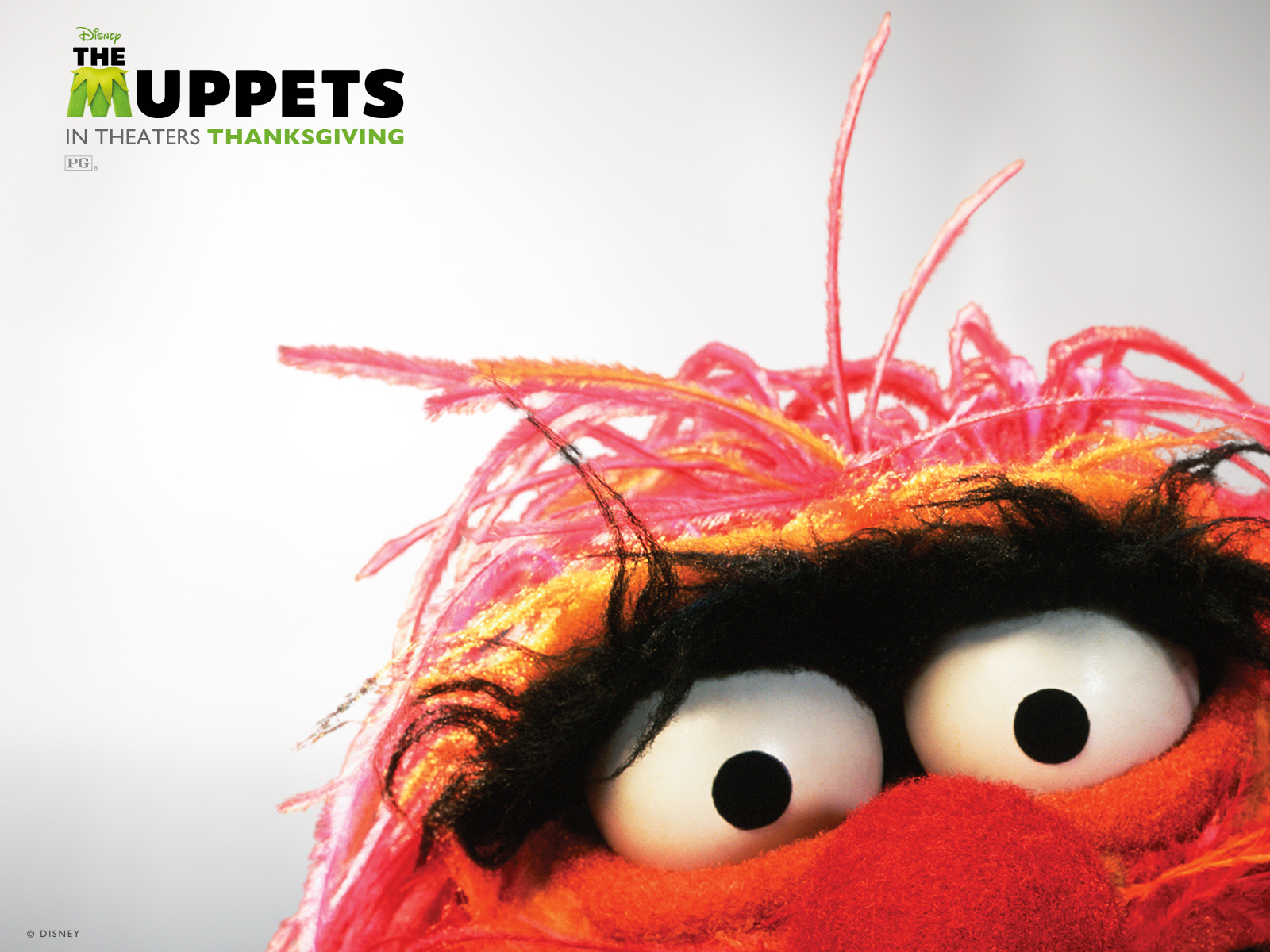 ż The Muppets(ֽ5)