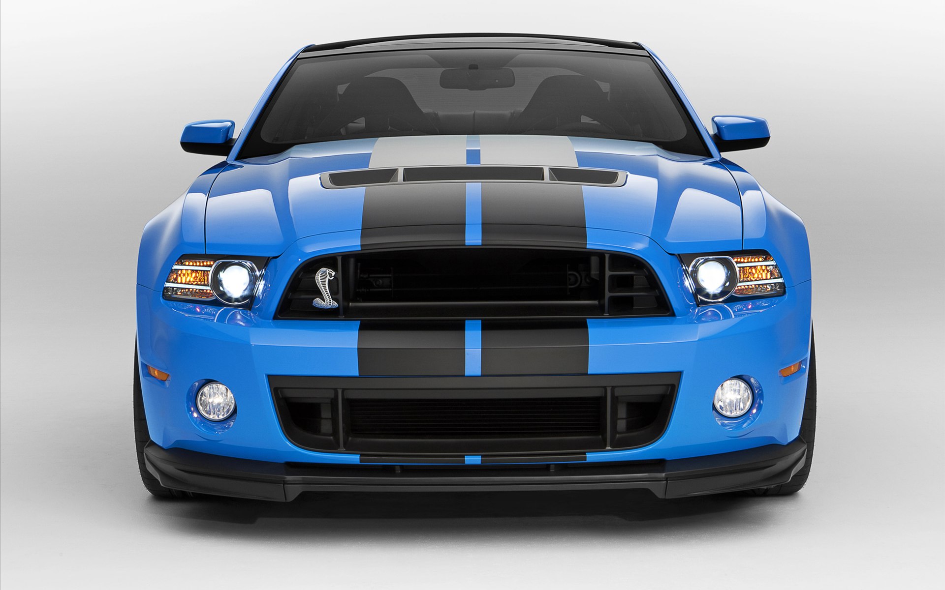 Ford Shelby GT500 (۾) 2013(ֽ2)