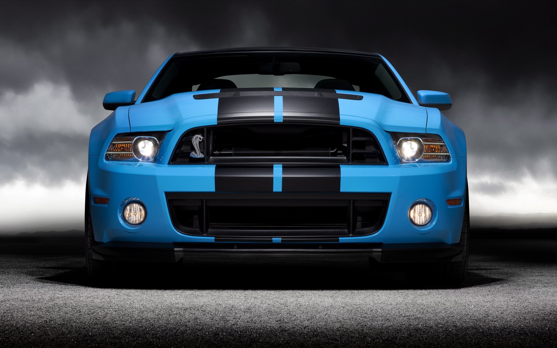 Ford Shelby GT500 (۾) 2013(ֽ6)