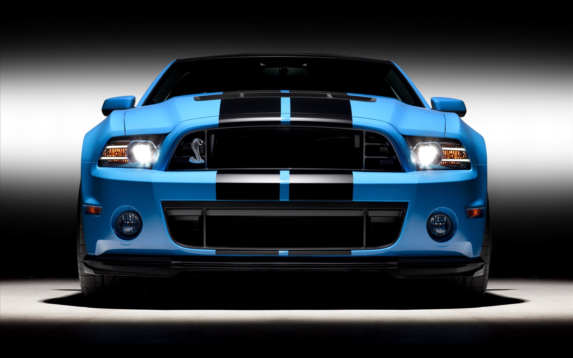 Ford Shelby GT500 (۾) 2013(ֽ18)