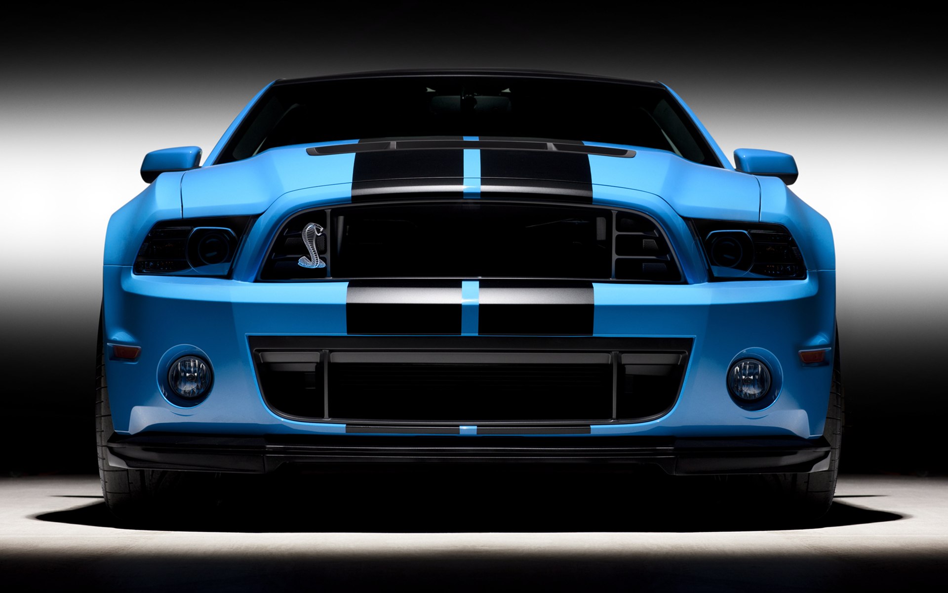 Ford Shelby GT500 (۾) 2013(ֽ19)