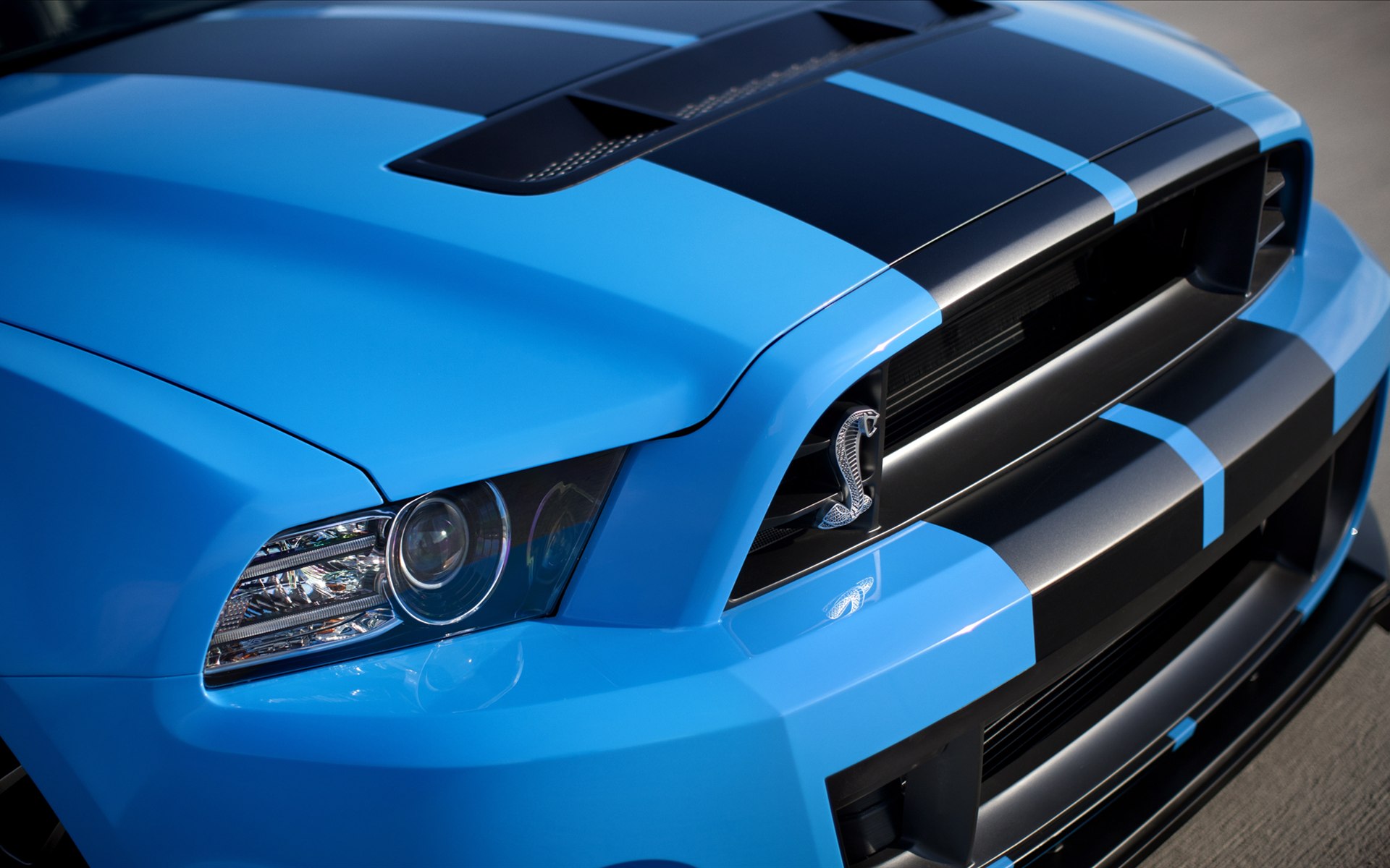 Ford Shelby GT500 (۾) 2013(ֽ22)
