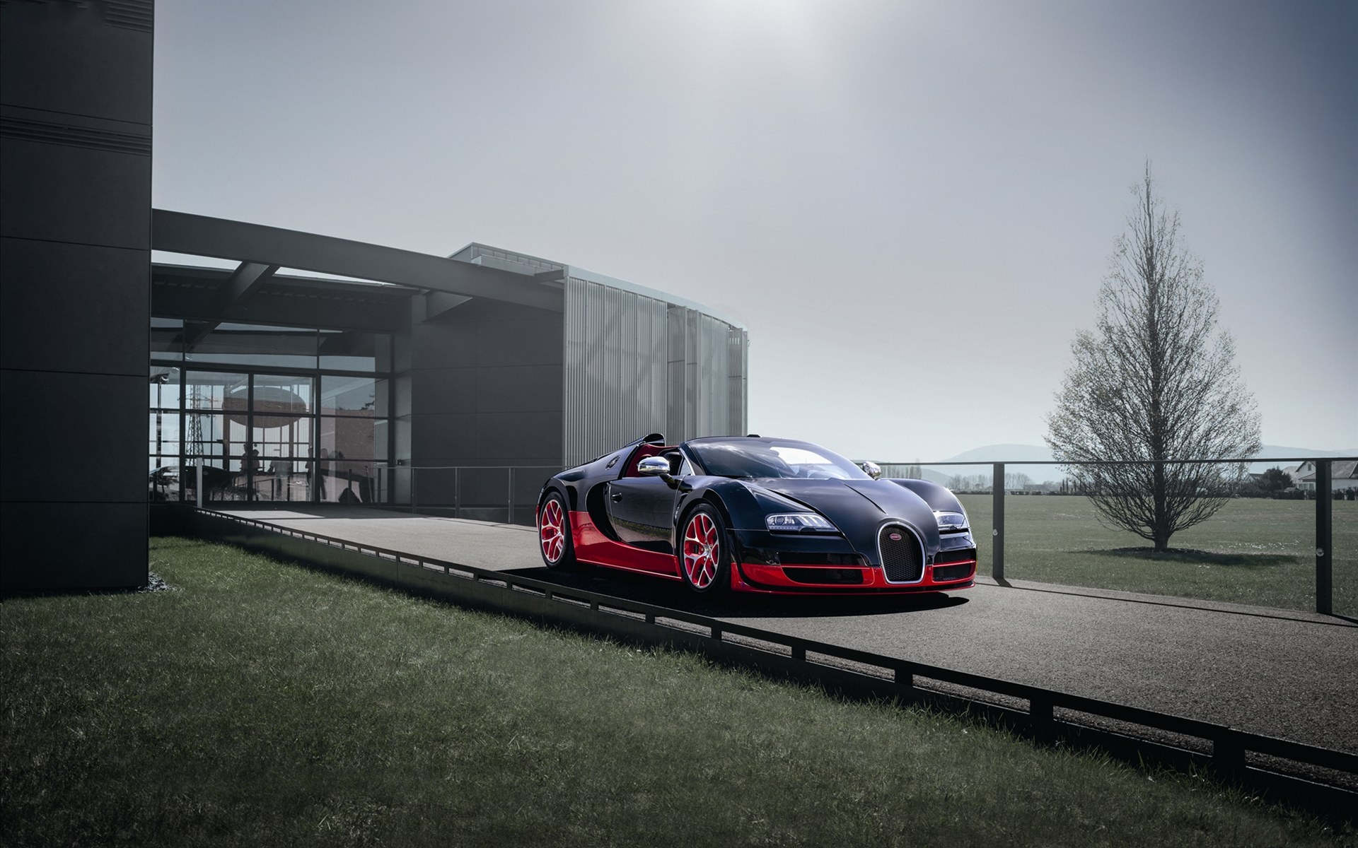 Bugatti Veyron ӵ 16 4 Grand Sport Vitesse 2012(ֽ5)