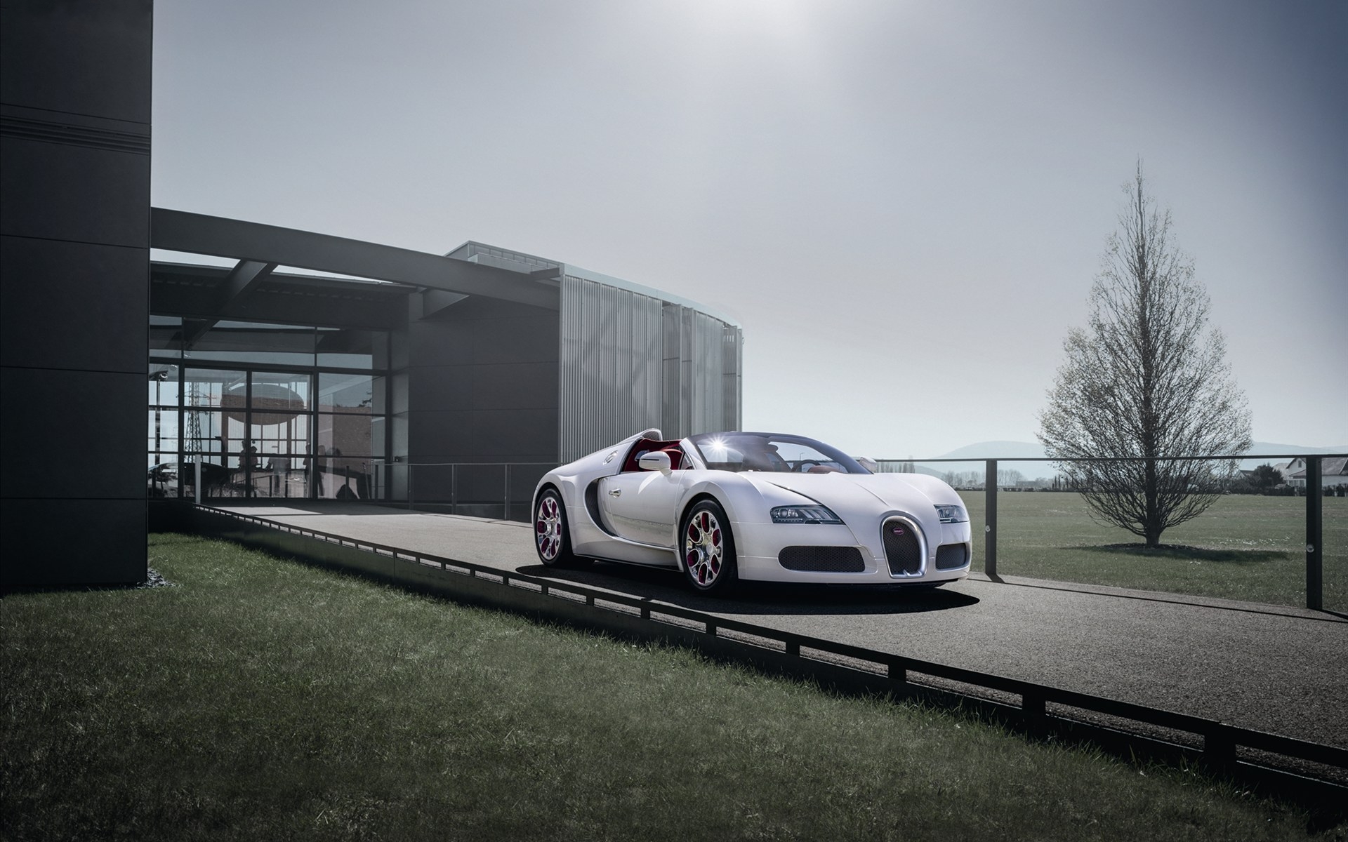 Bugatti Veyron ӵ 16 4 Grand Sport Vitesse 2012(ֽ10)