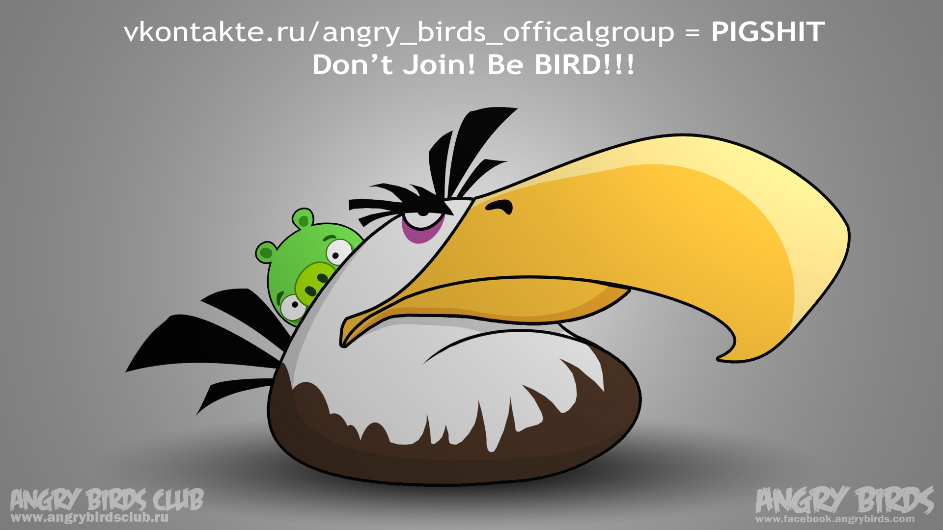ŭС(Angry Birds) ɰͨϷֽ(ֽ45)