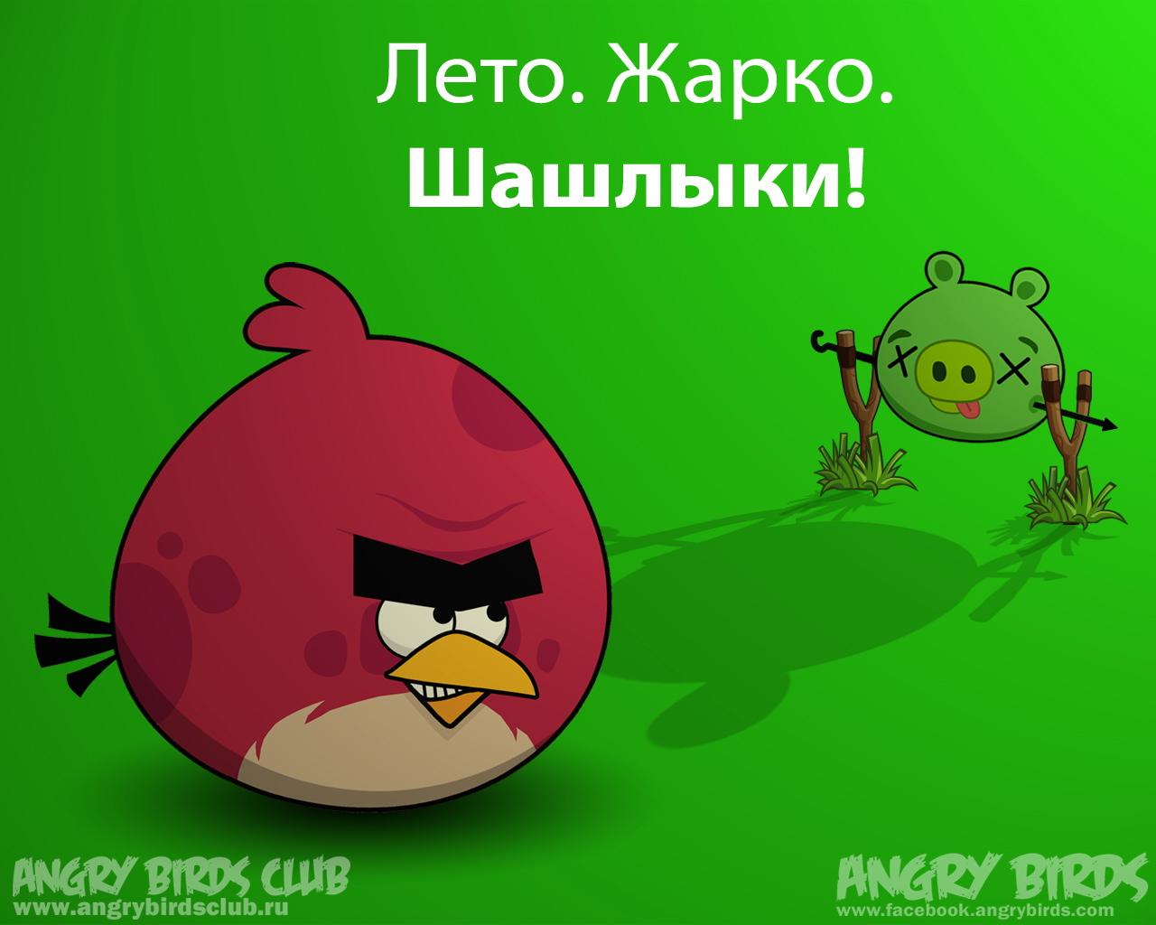 ŭС(Angry Birds) ɰͨϷֽ(ֽ63)
