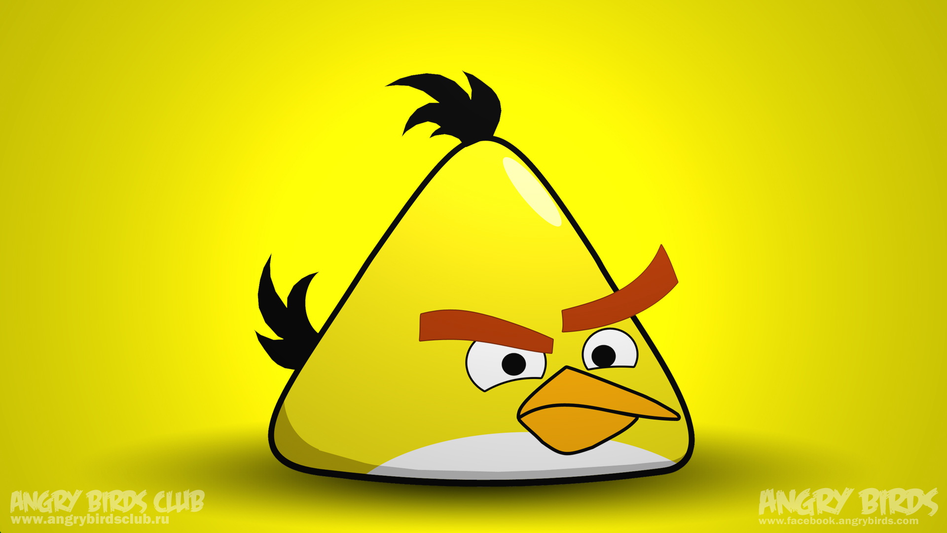 ŭС(Angry Birds) ɰͨϷֽ(ֽ65)