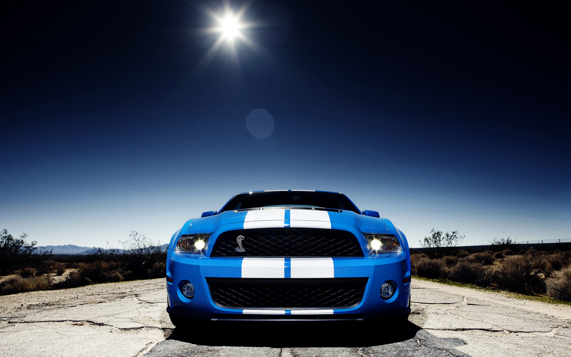 Shelby GT 500(Ұ۾)(ֽ1)