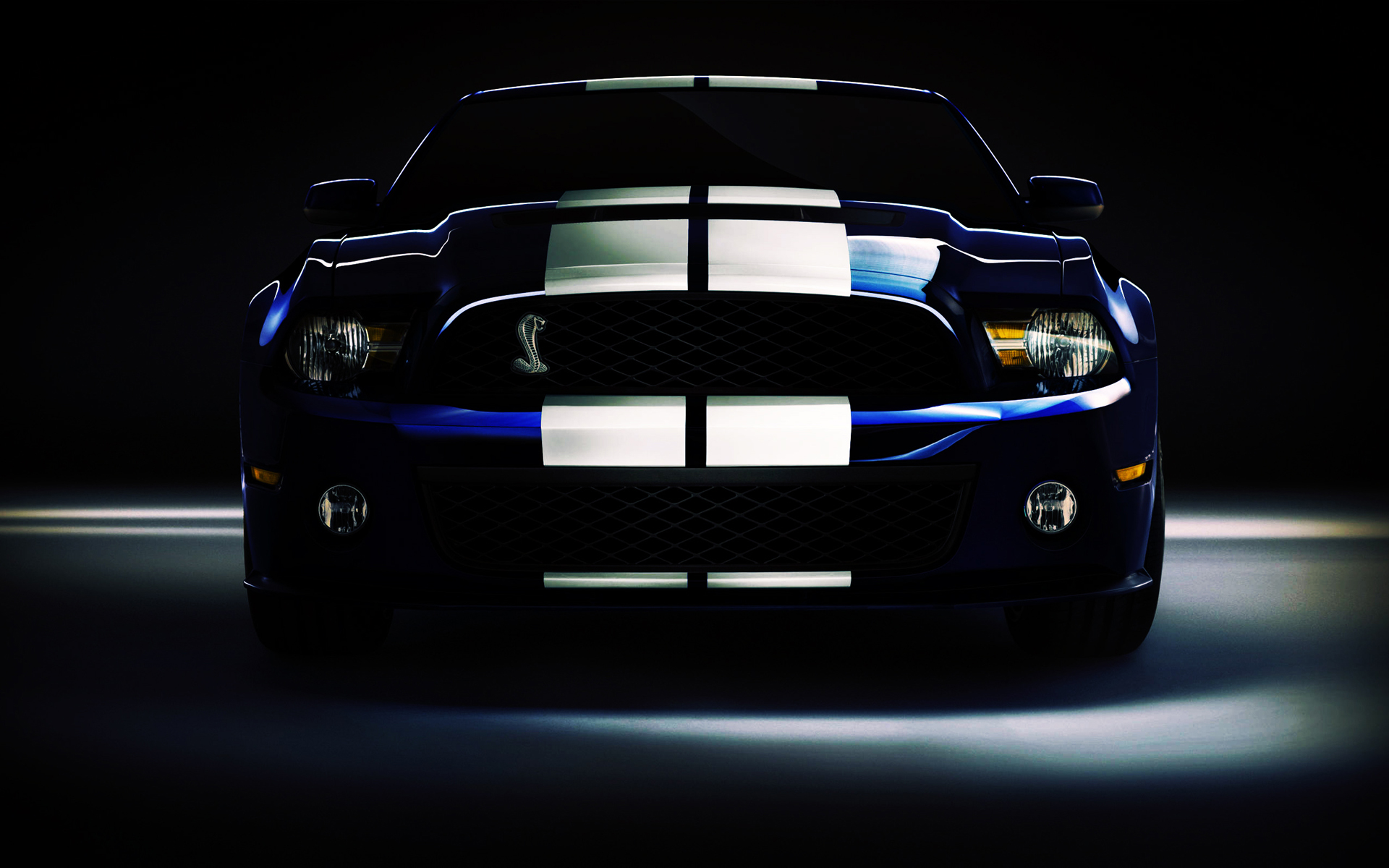 Shelby GT 500(Ұ۾)(ֽ8)