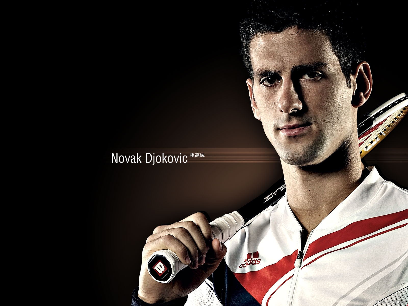 ŵ߿ˡԼά Novak Djokovic(ֽ8)