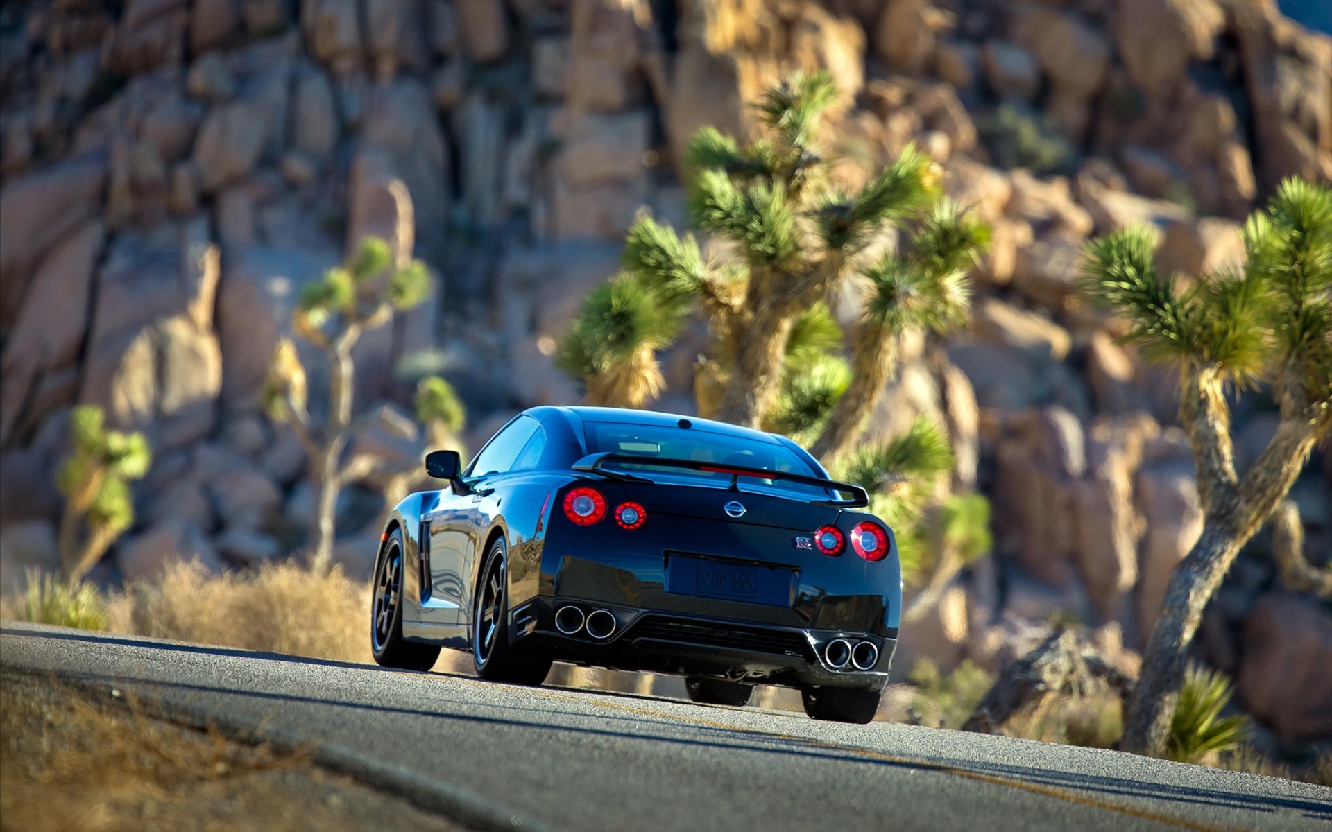 Nissan GT-R Track Edition 2014(ֽ6)
