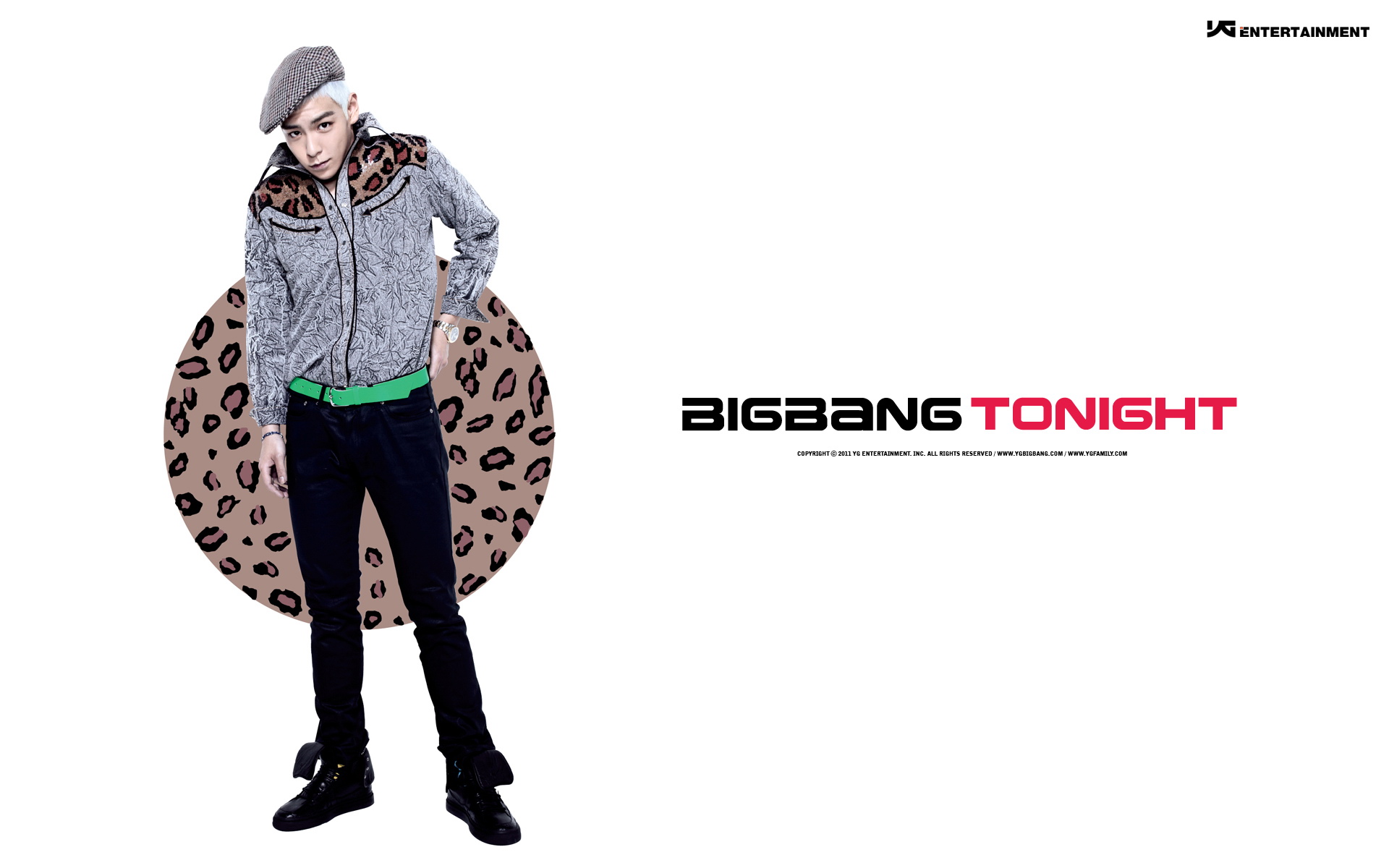 ʵż BIGBANG ֽ(ֽ65)