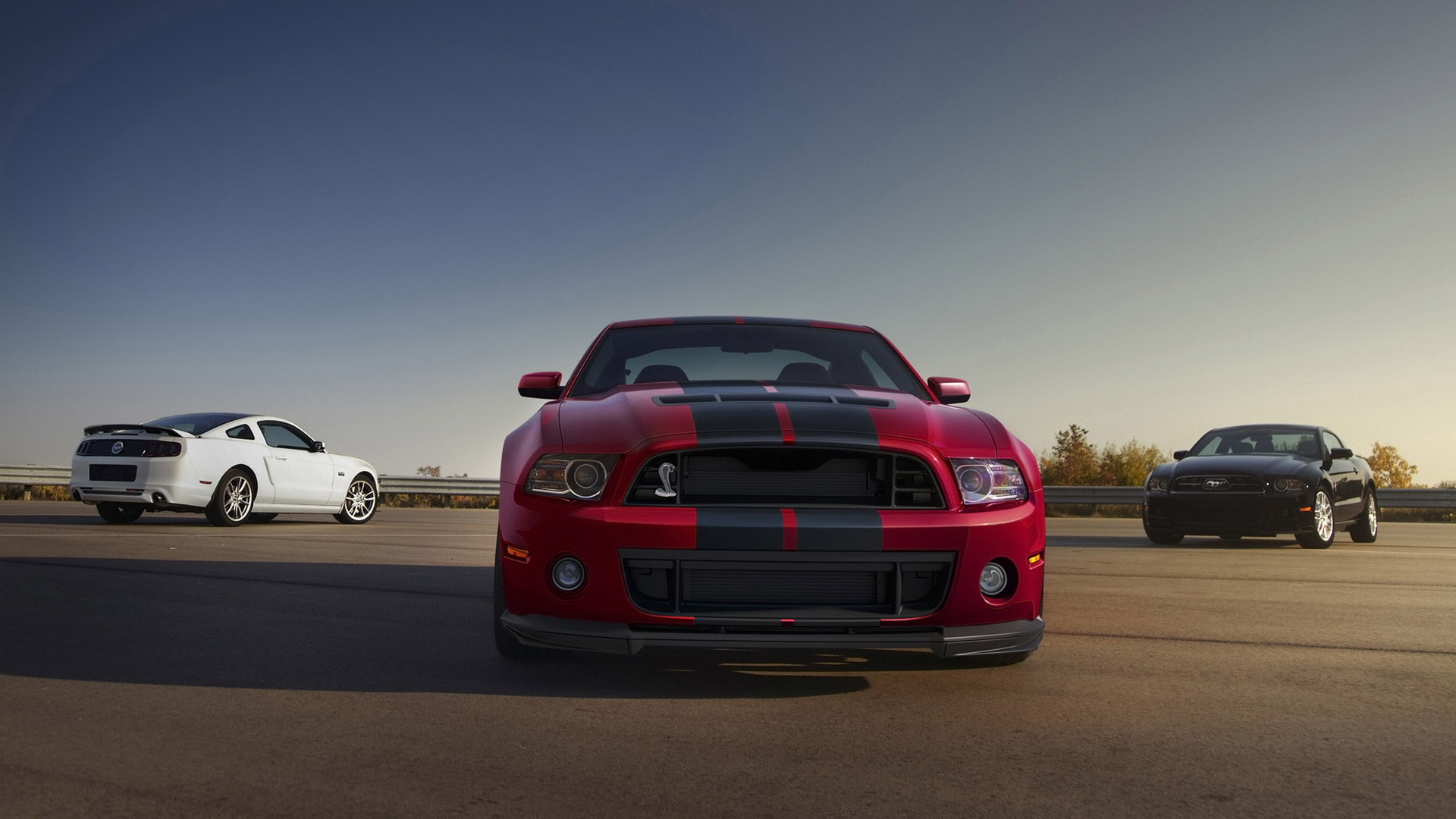 2014 Ford Shelby GT500(Ұ)(ֽ14)