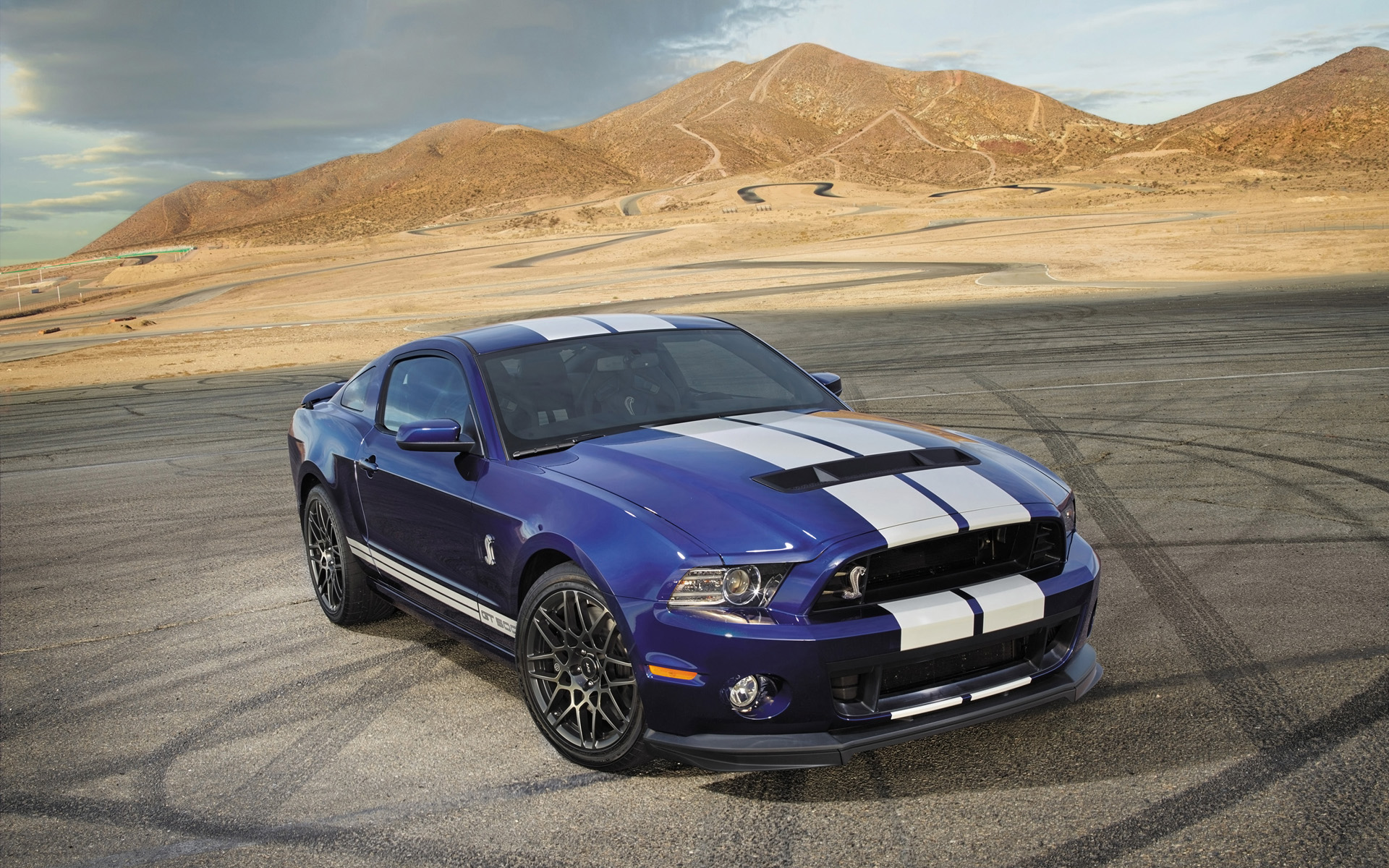 2014 Ford Shelby GT500(Ұ)(ֽ15)