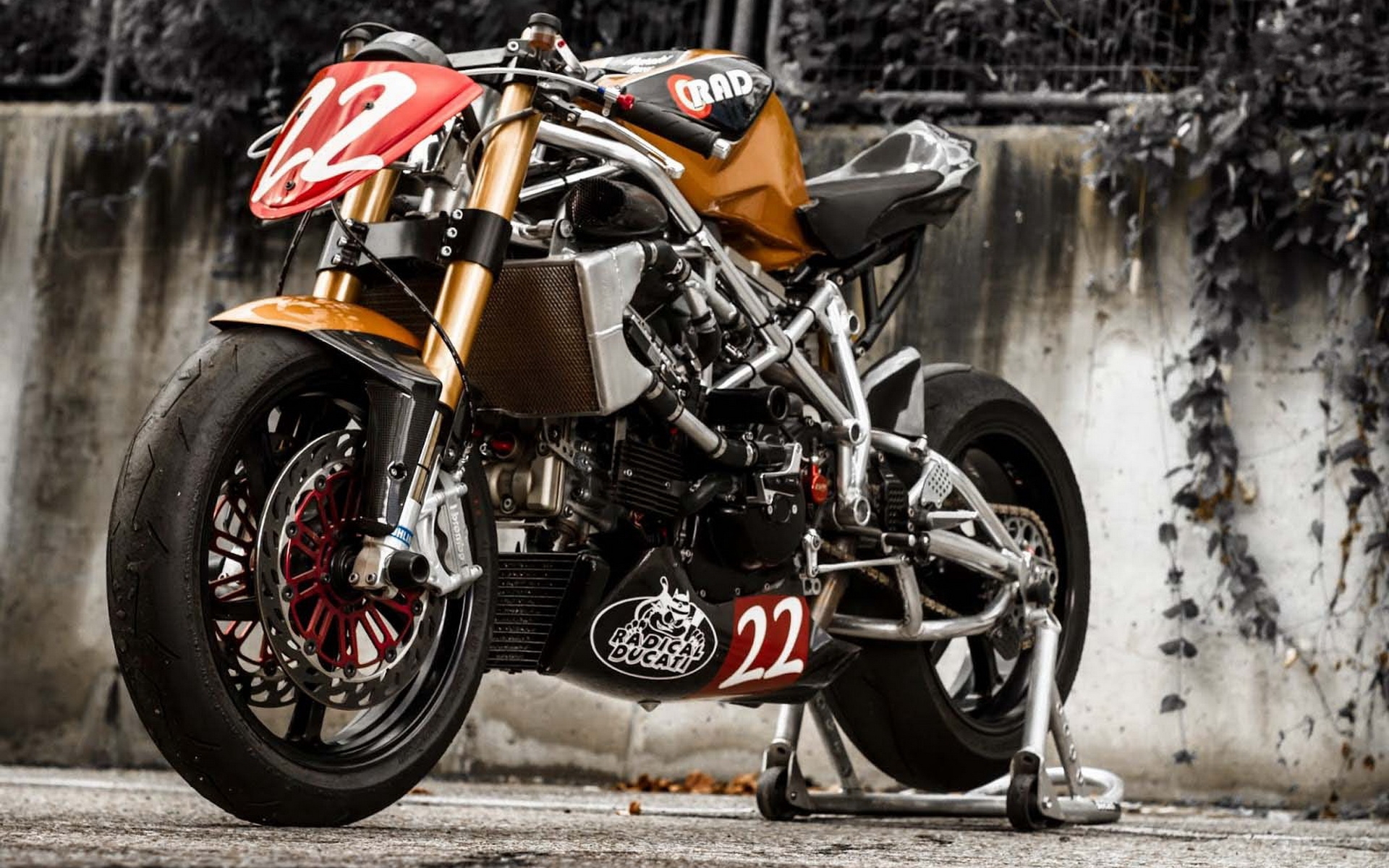 Radical Ducati Matador(ſ϶ţʿ)(ֽ3)