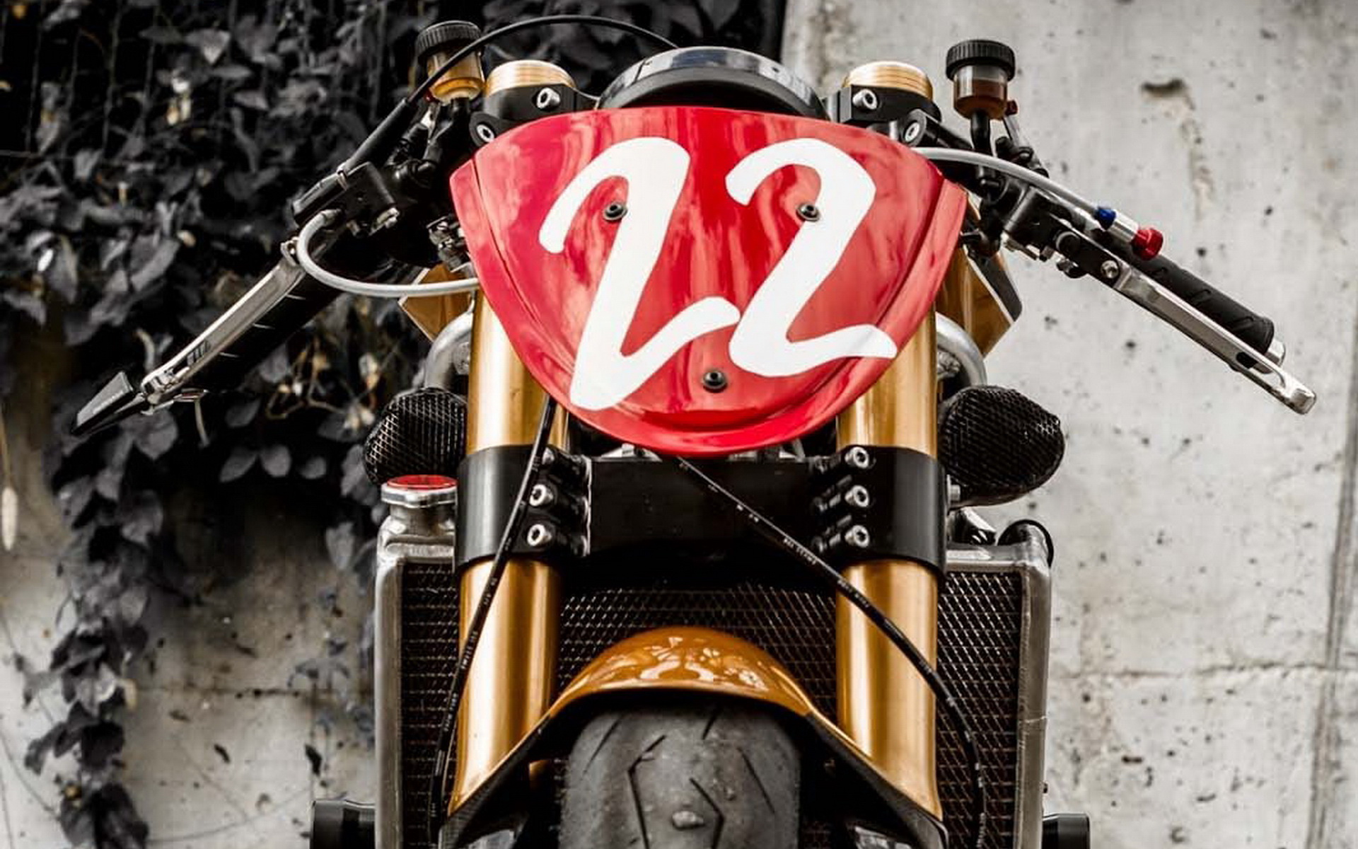 Radical Ducati Matador(ſ϶ţʿ)(ֽ13)