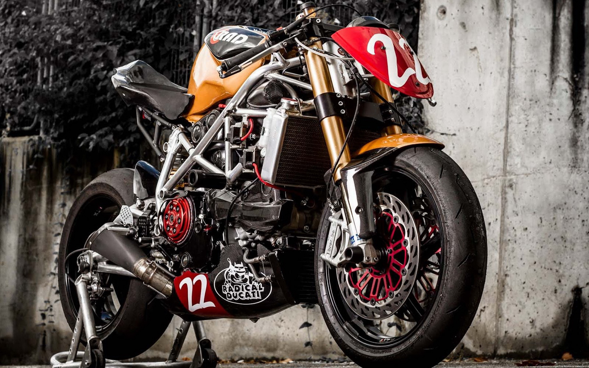 Radical Ducati Matador(ſ϶ţʿ)(ֽ16)