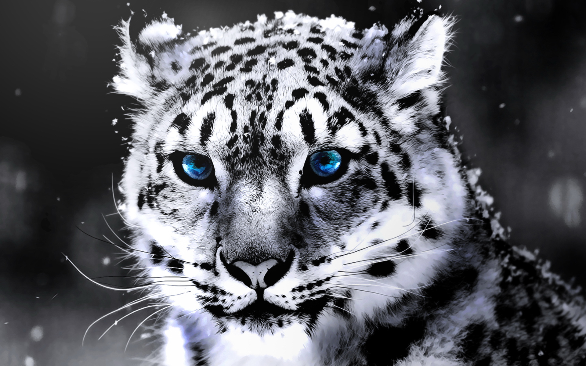 ׻ White tiger(ֽ4)