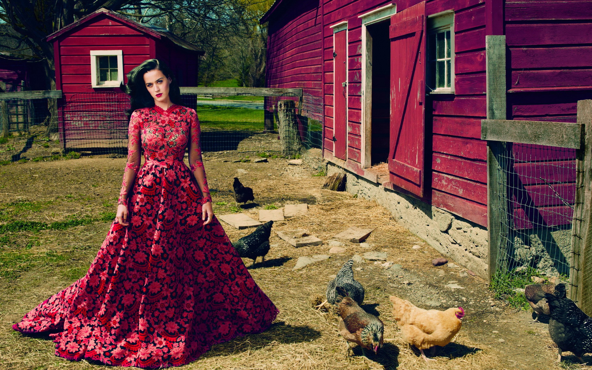 ١Katy Perry(ֽ80)