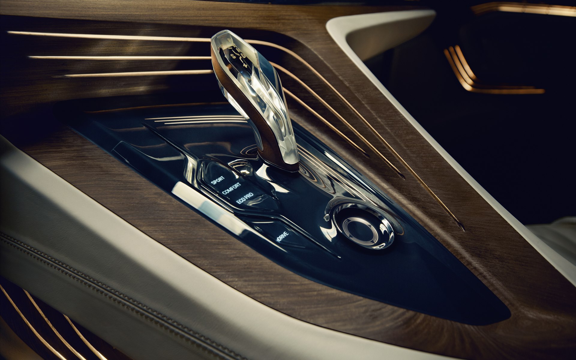 BMW Vision Future Luxury Concept 2014(߿Ƽ)(ֽ14)