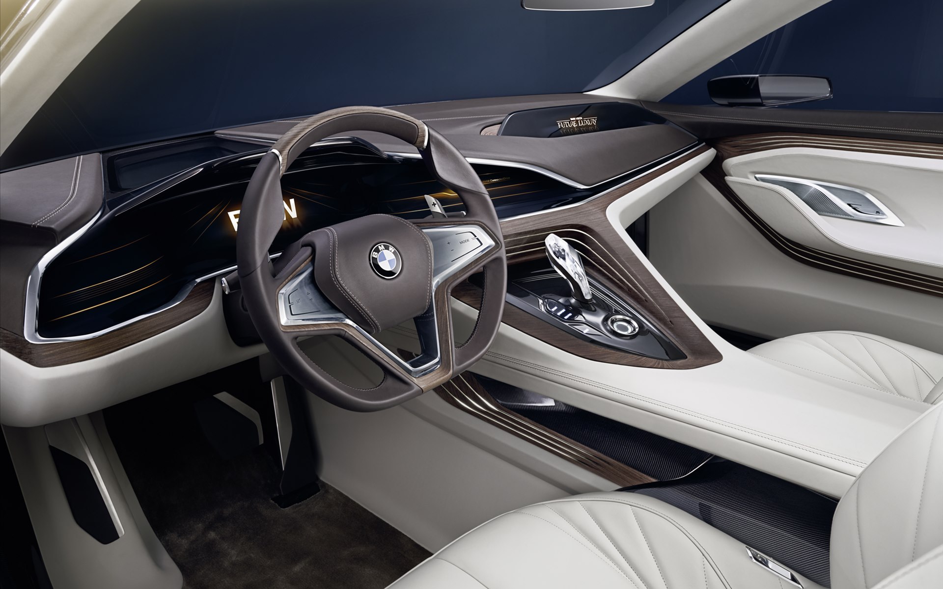 BMW Vision Future Luxury Concept 2014(߿Ƽ)(ֽ15)